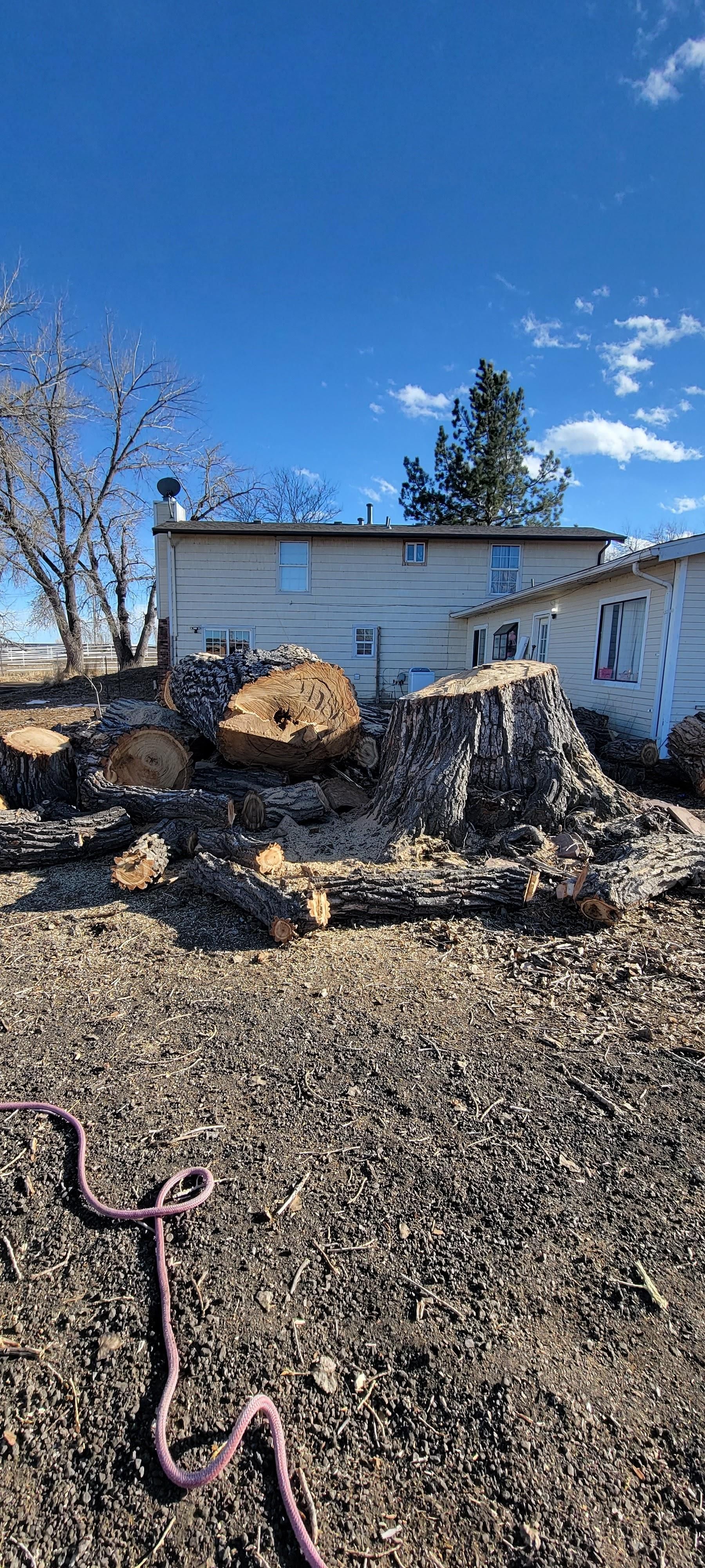 Fall and Spring Clean Up for Jv Tree Service, LLC in Greeley,  CO