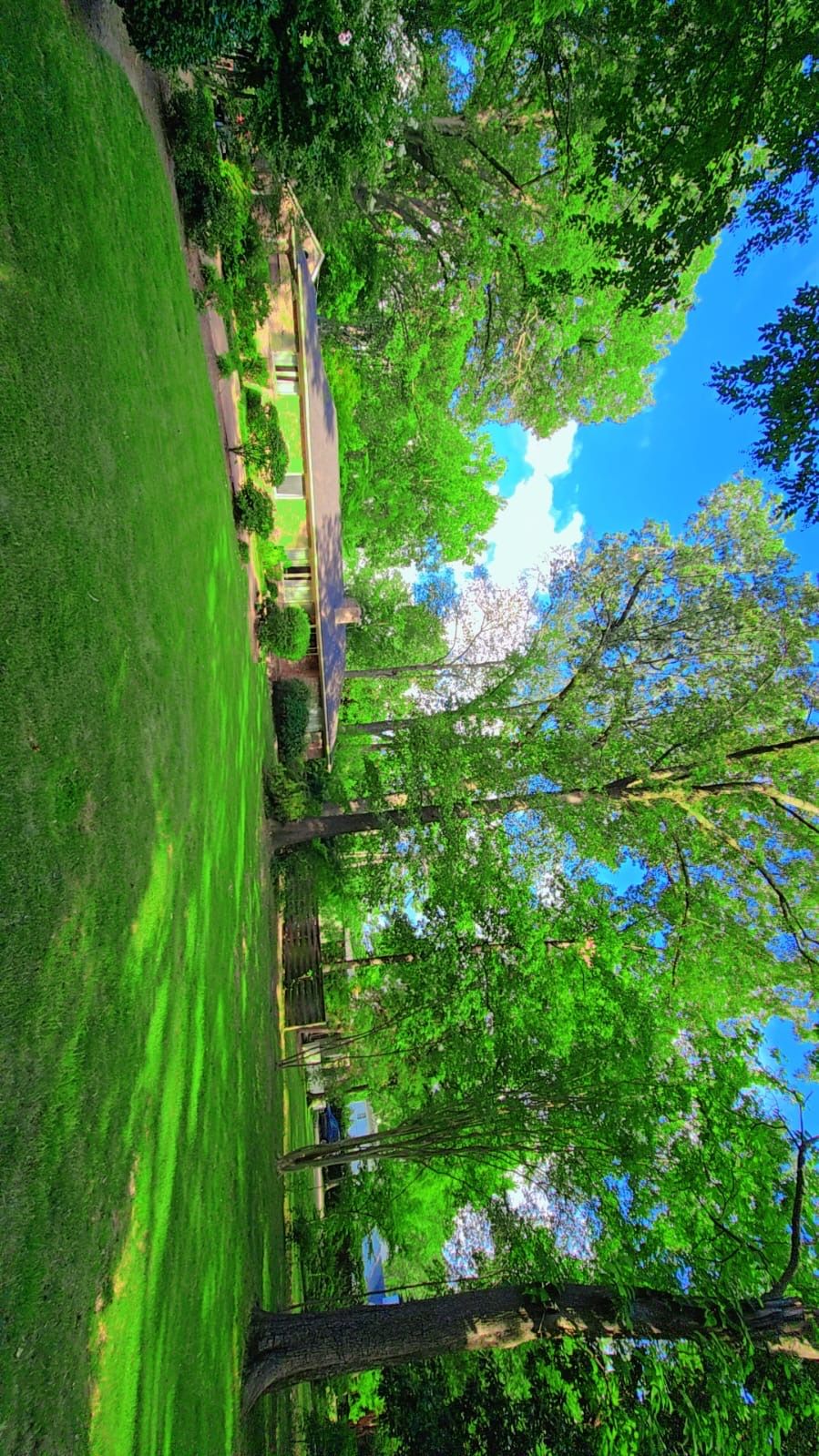  for Sanchez Z. Landscaping in Memphis, TN