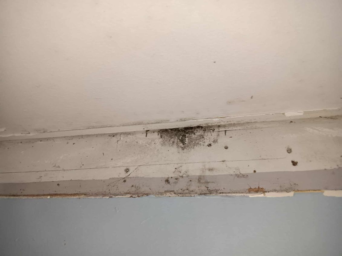  for First Response Reconstruction LLC in New Hampshire, NH