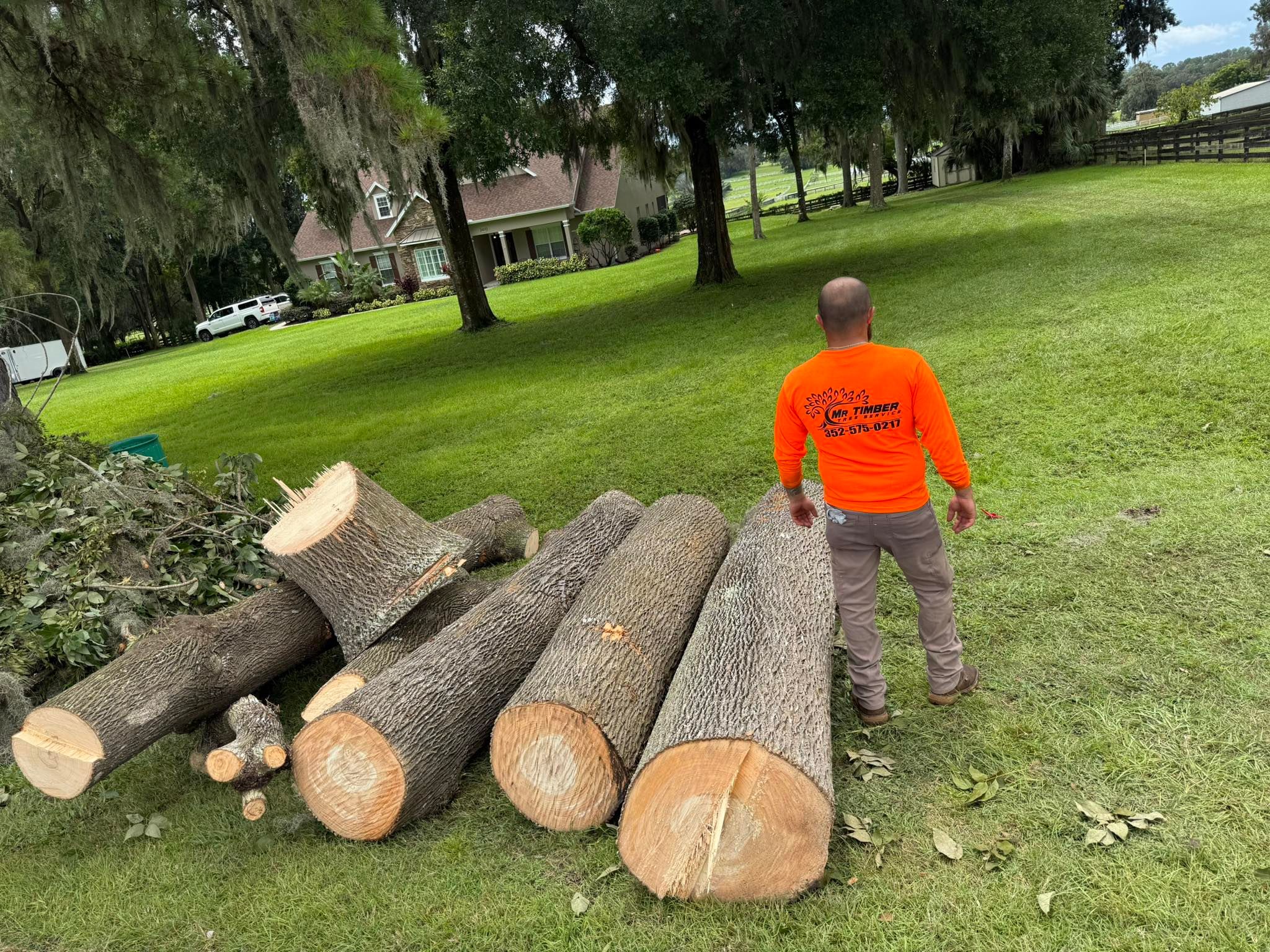  for Mr Timber in Ocala, FL