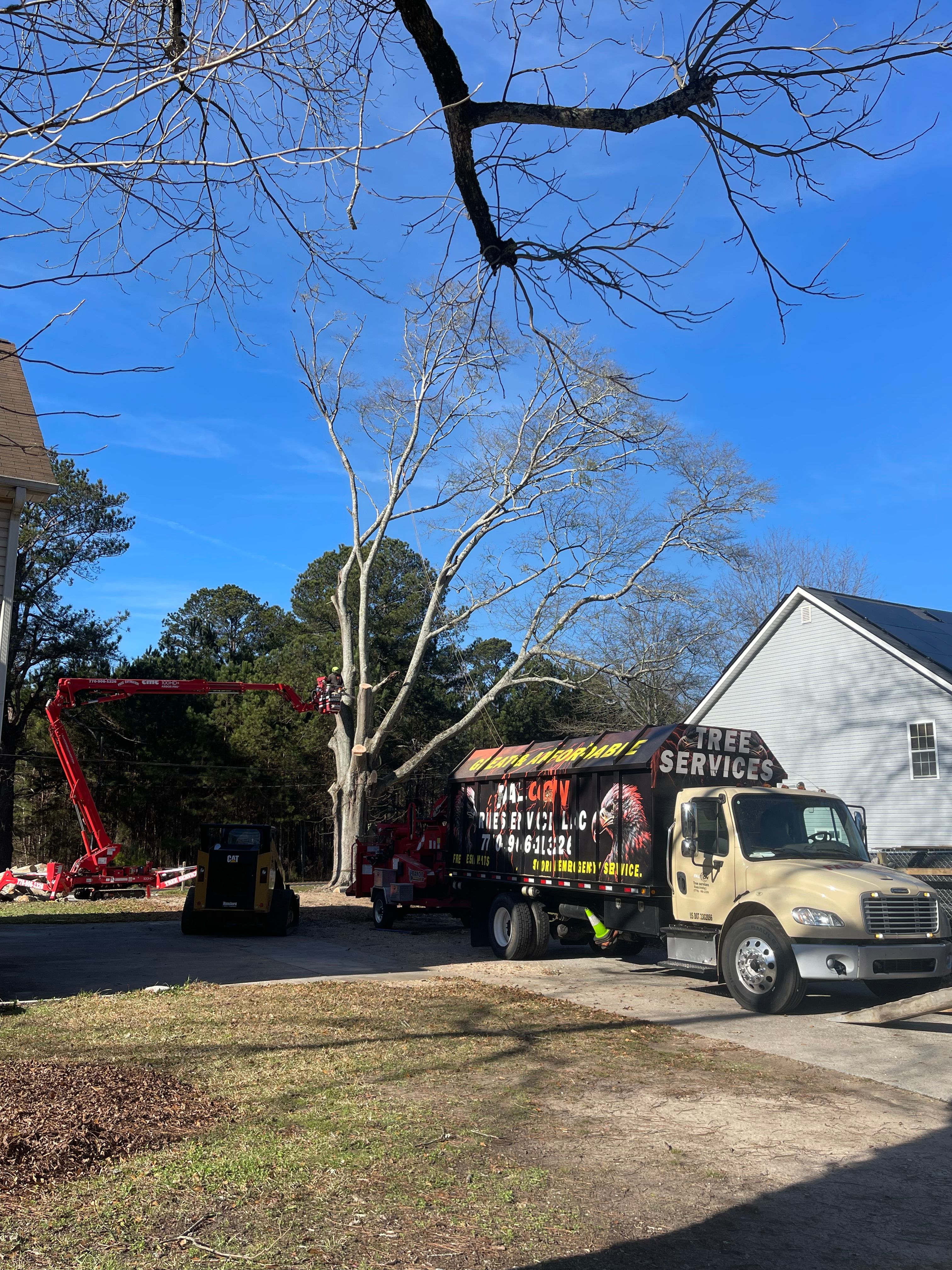  for Falcon stump grinding Tree services in Snellville, GA