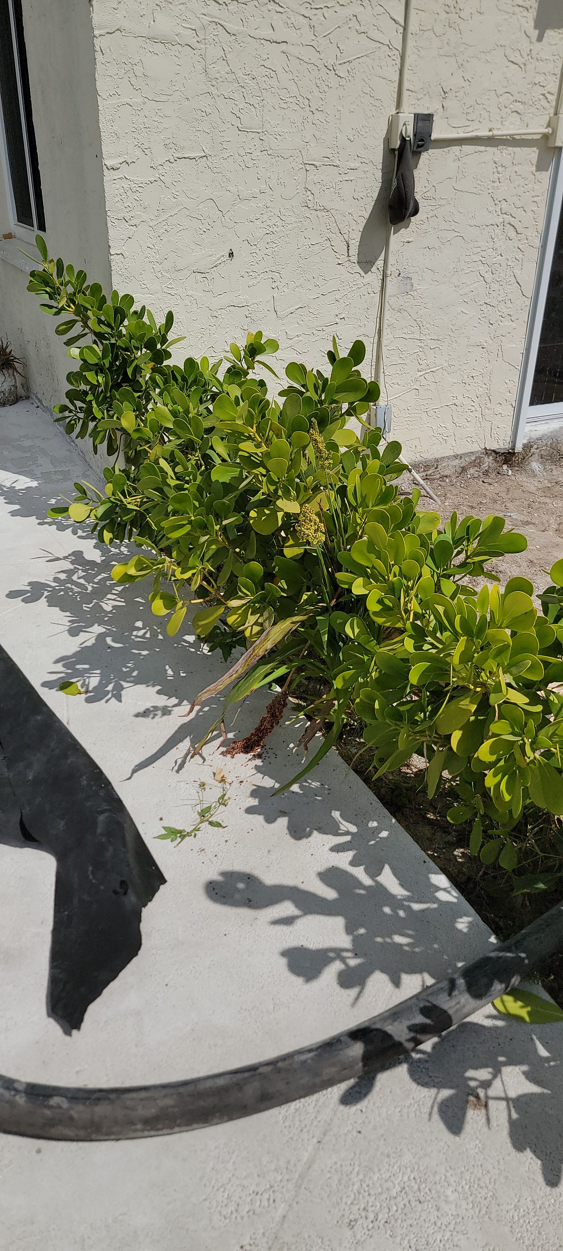  for Millenium Construction & Property Management in Tampa, FL