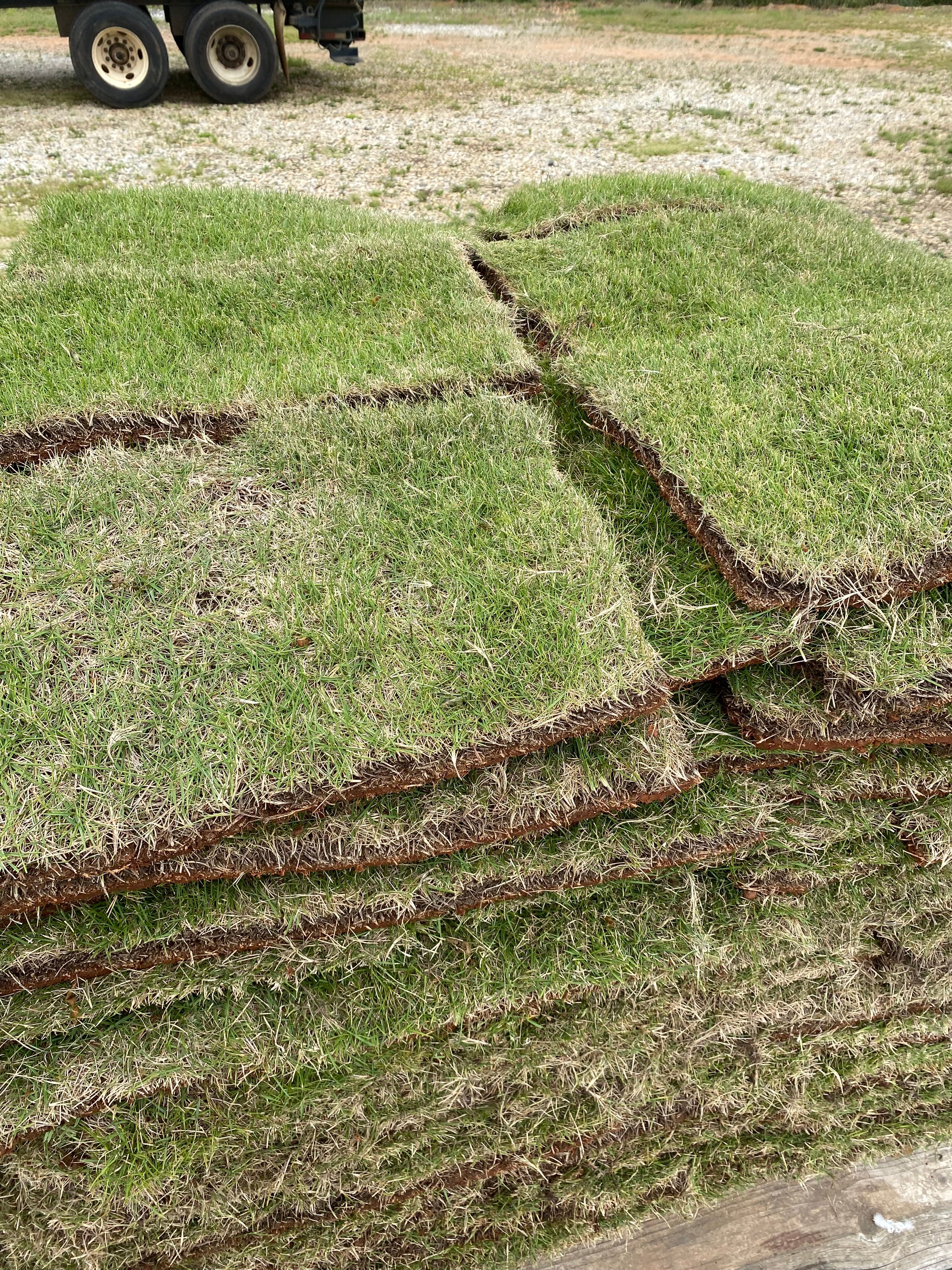  for Taylormade Lawn Management in Clarkesville, GA