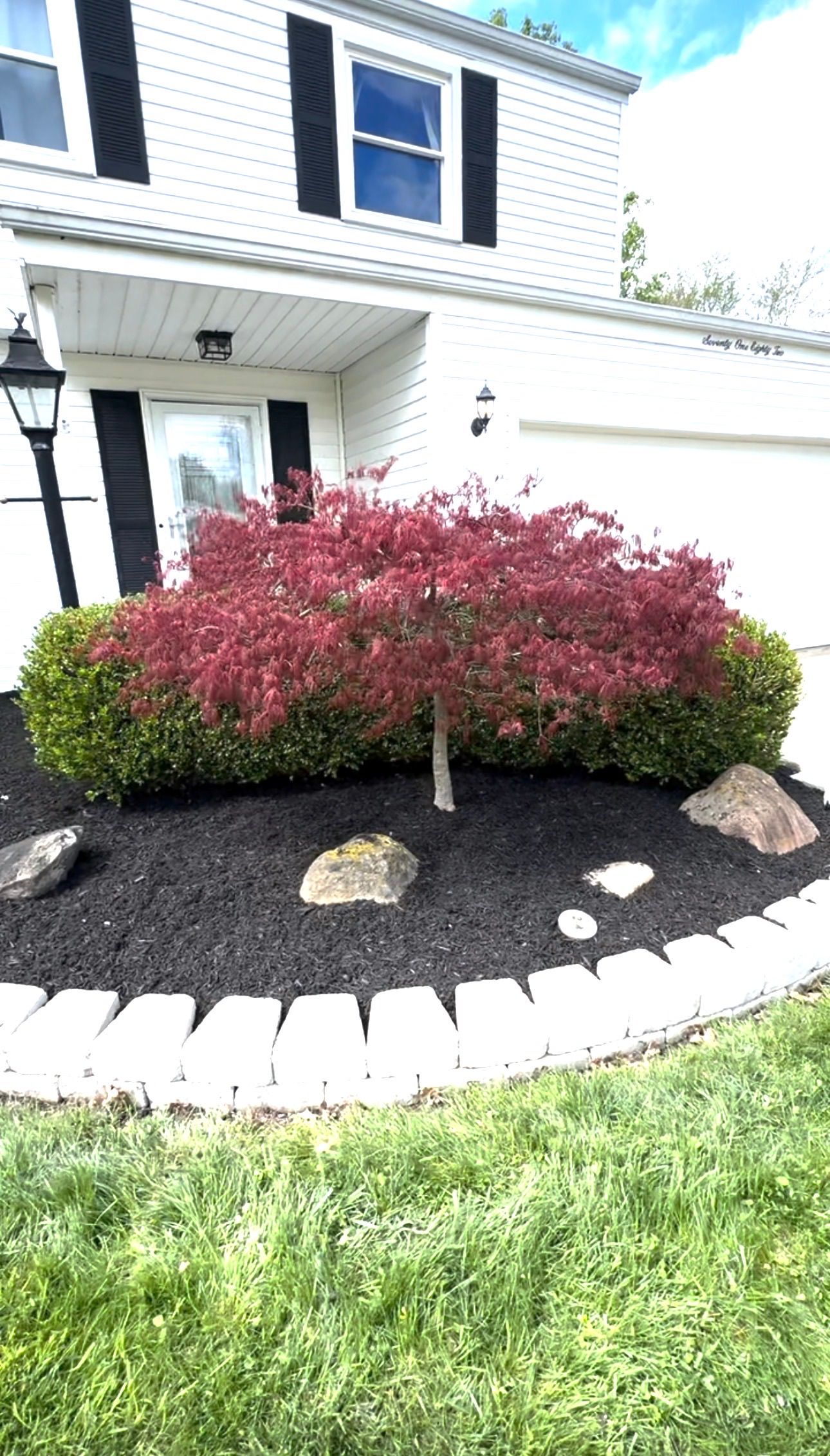  for Yard Theory in Willowick, OH