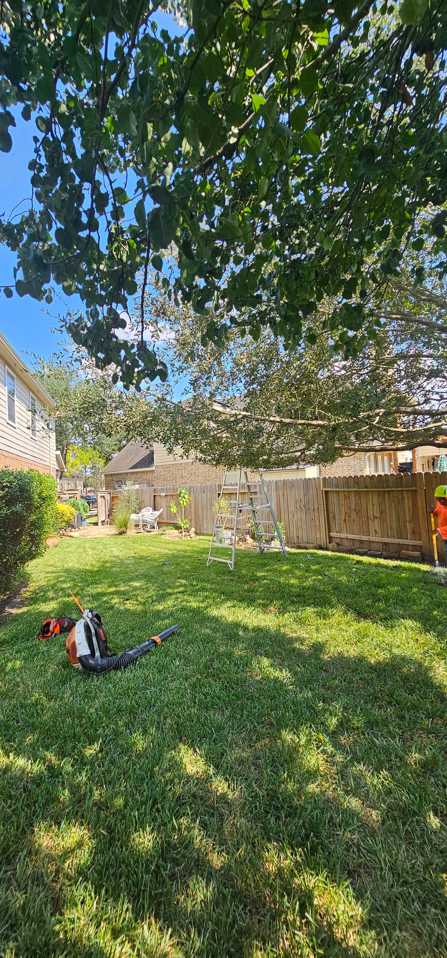 for Servin's Tree Care  in Houston, TX