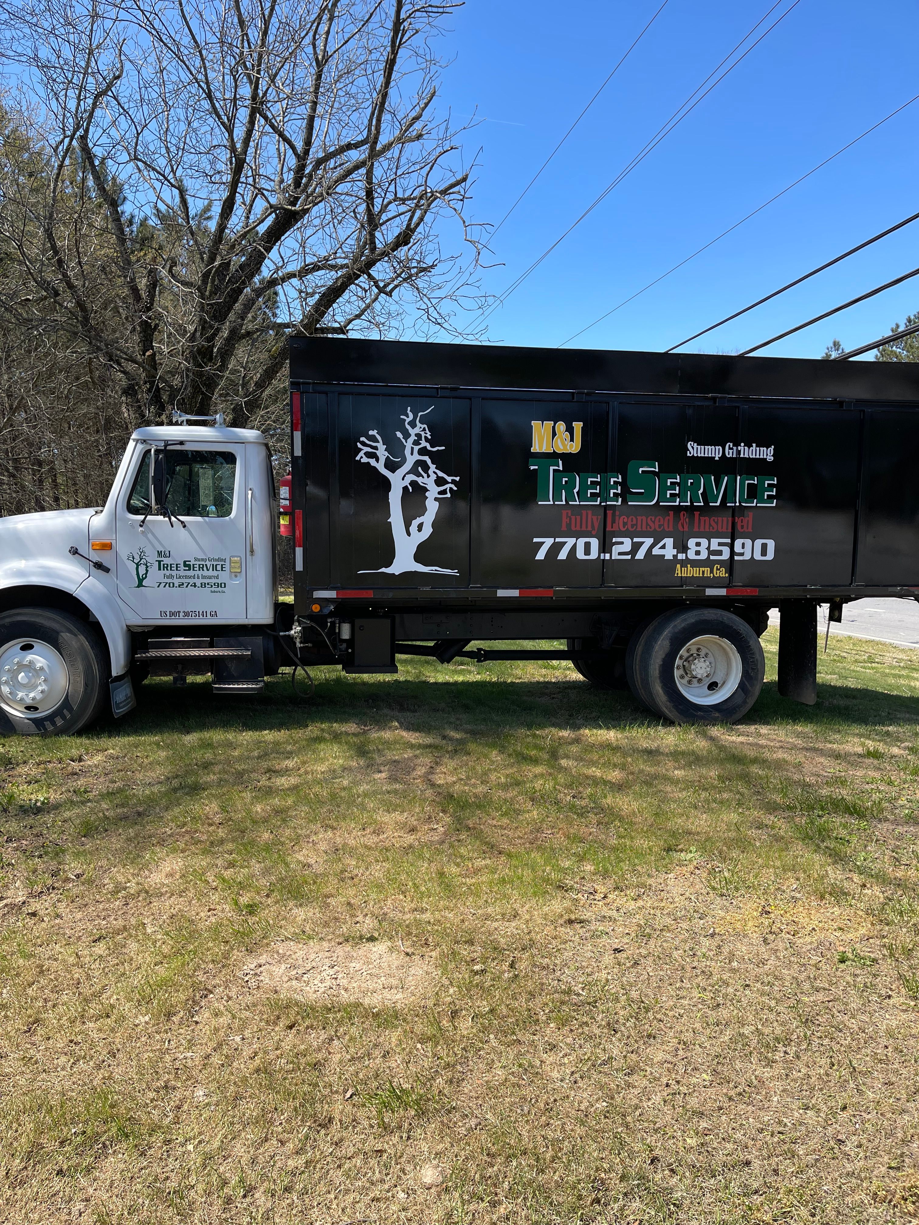  for M & J Tree Service & Stump Grinding in Auburn, GA