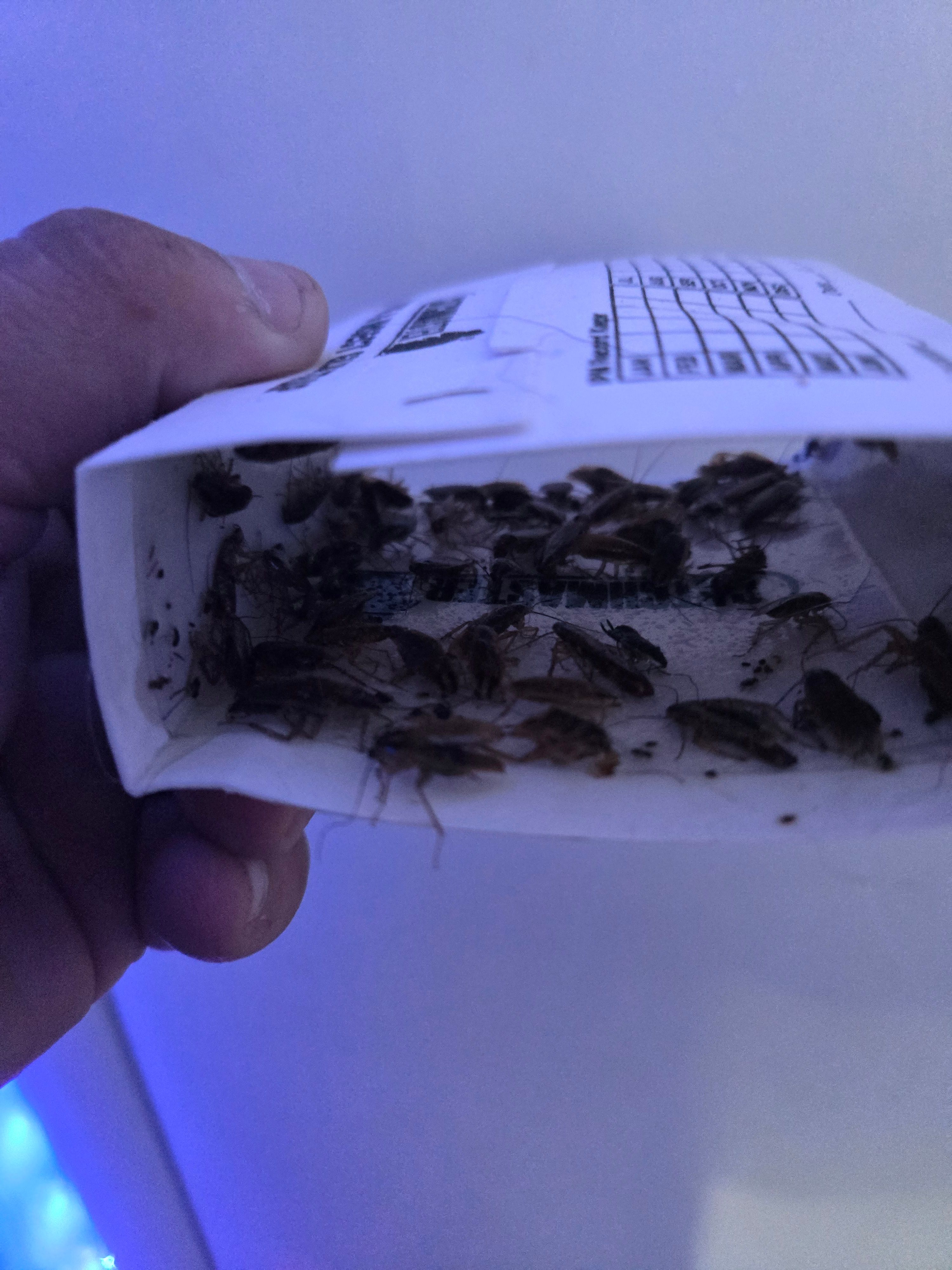  for Bug Blasterz LLC in Huntsville, AL