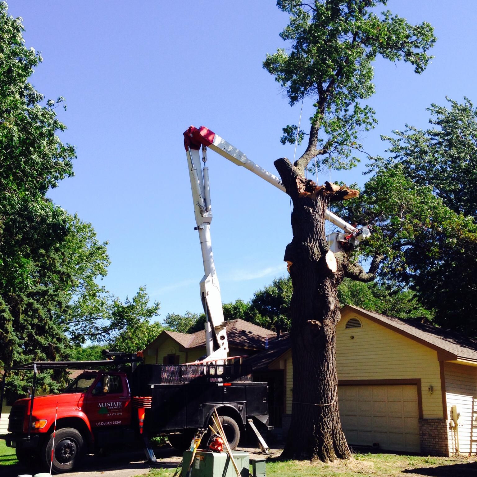 Tree Removal for Allstate Tree Service in Fridley, MN