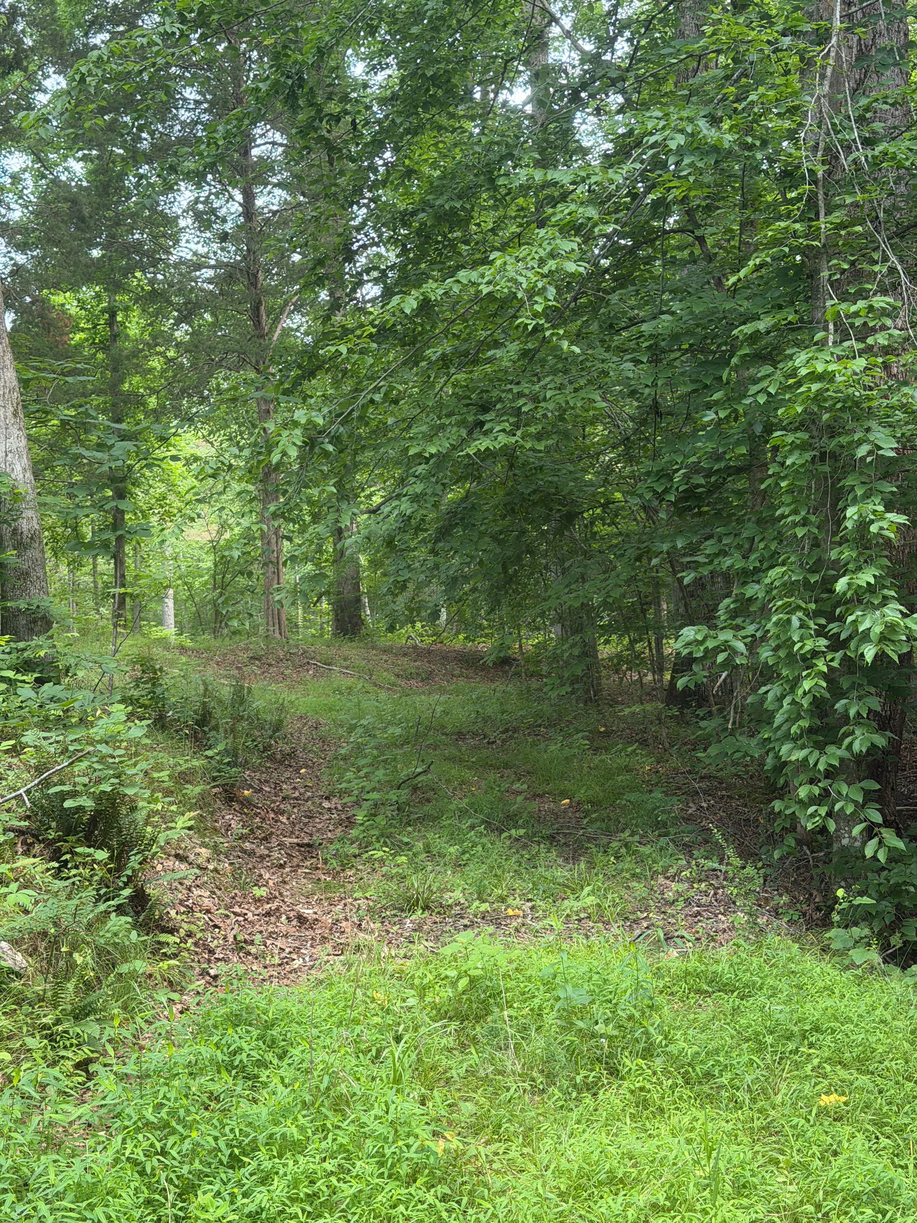 All Photos for Double V Services in Dickson, TN