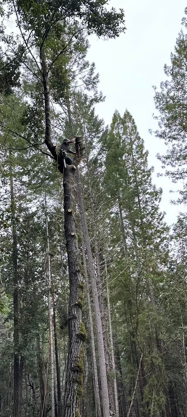  for J. Orozco & Sons Ent in Philo, CA