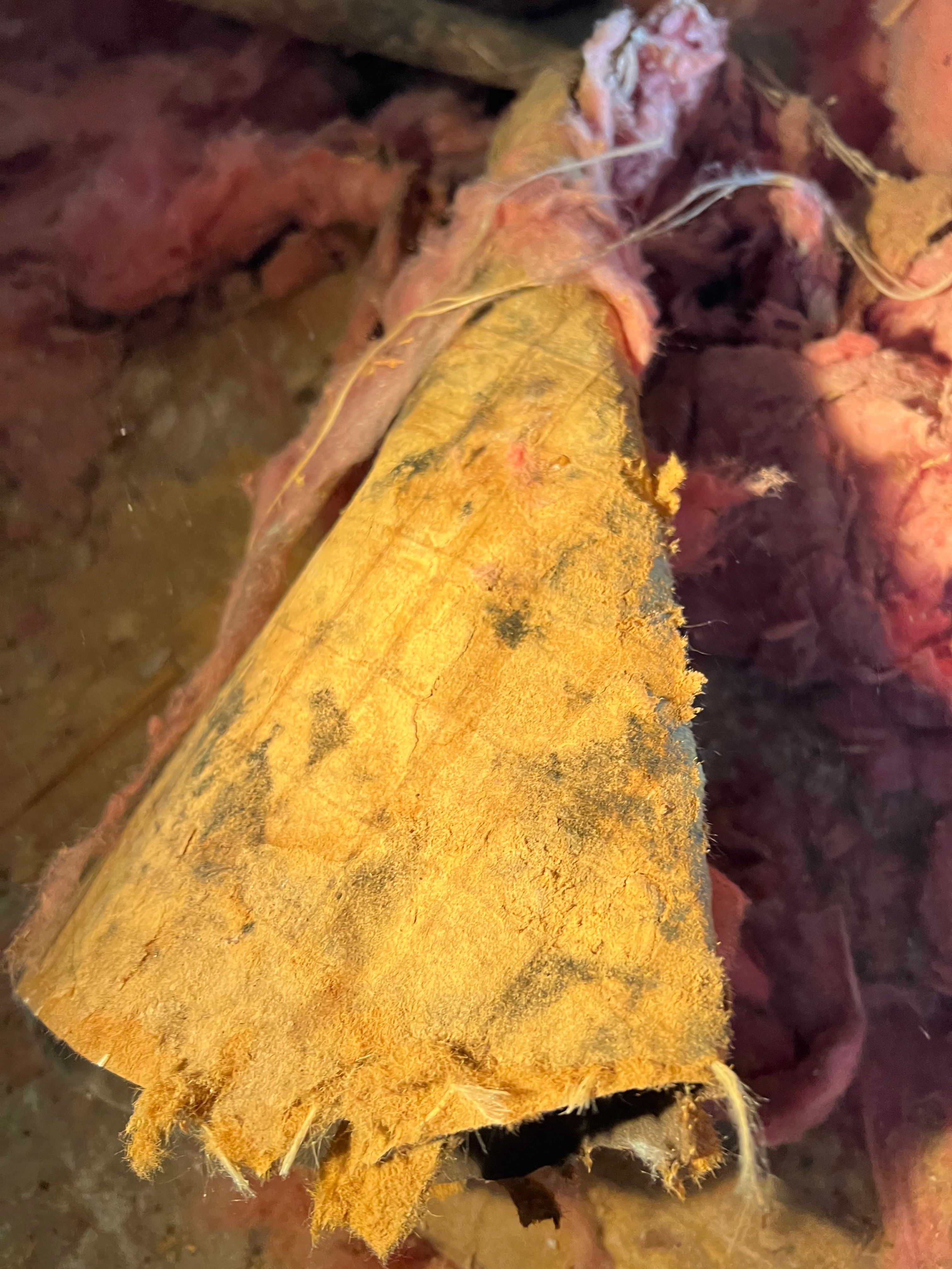  for N&D Restoration Services When Disaster Strikes, We Come In in Cape Coral,  FL