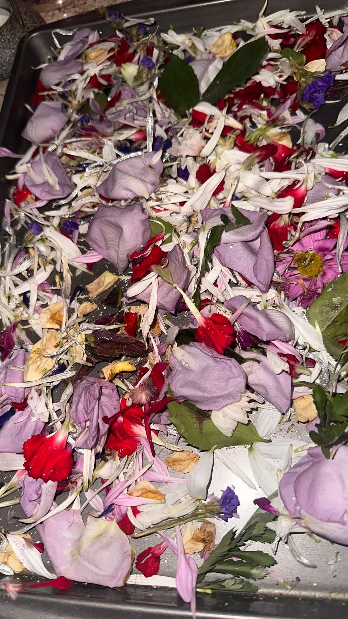  for The Dailey Daisy in Hardwick, VT