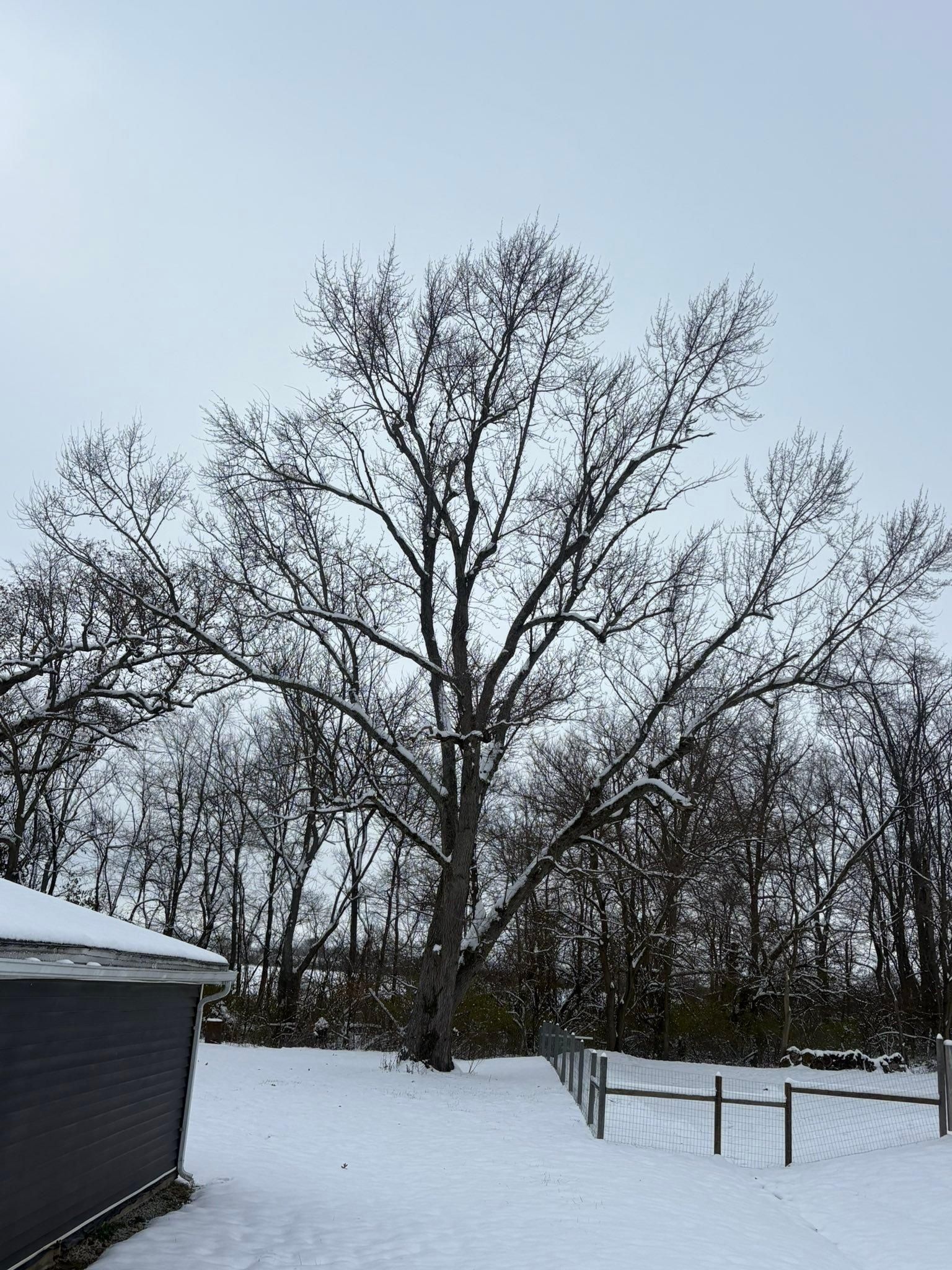  for Dig-It Tree Company in Mason, OH