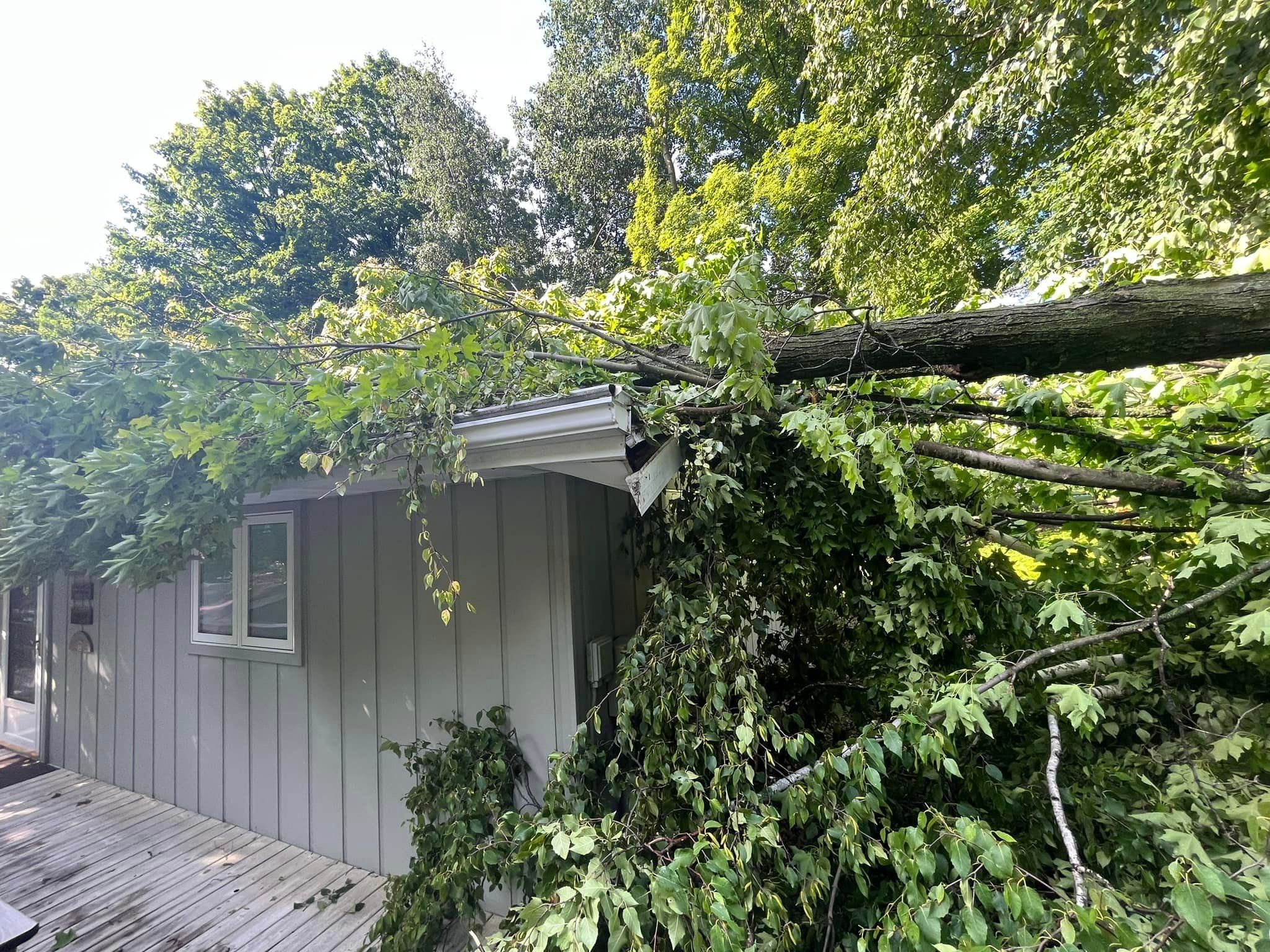 Tree Removal for Tree-B-Gone in Shawano, WI