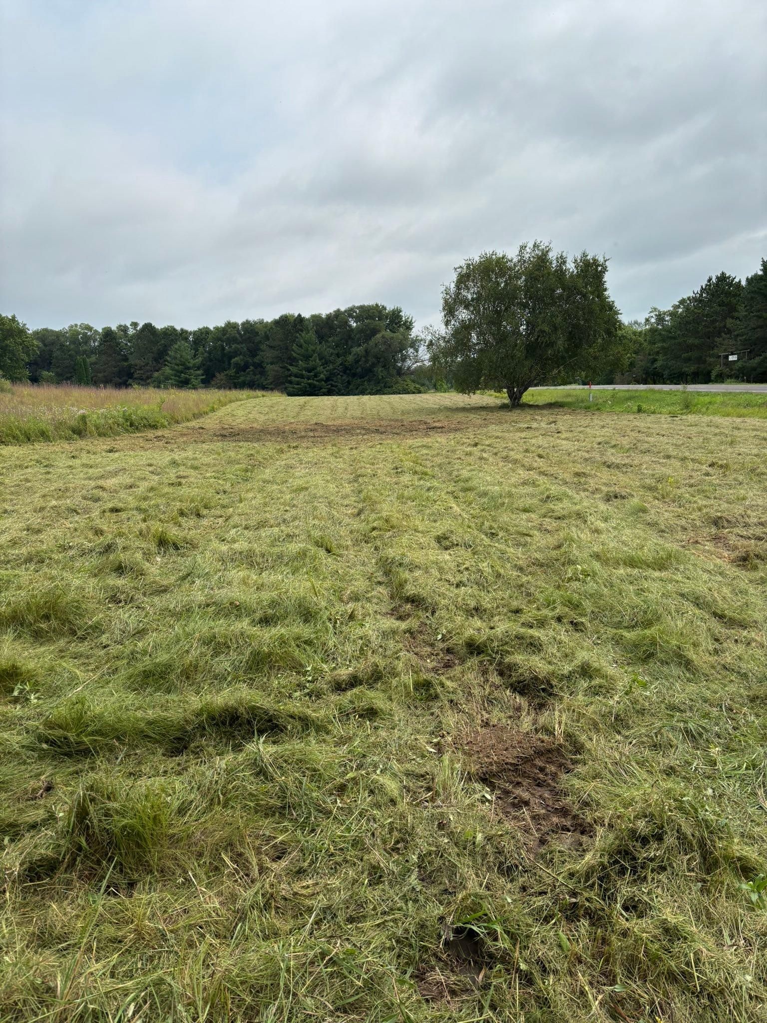  for Root Land Management in Watkins, MN