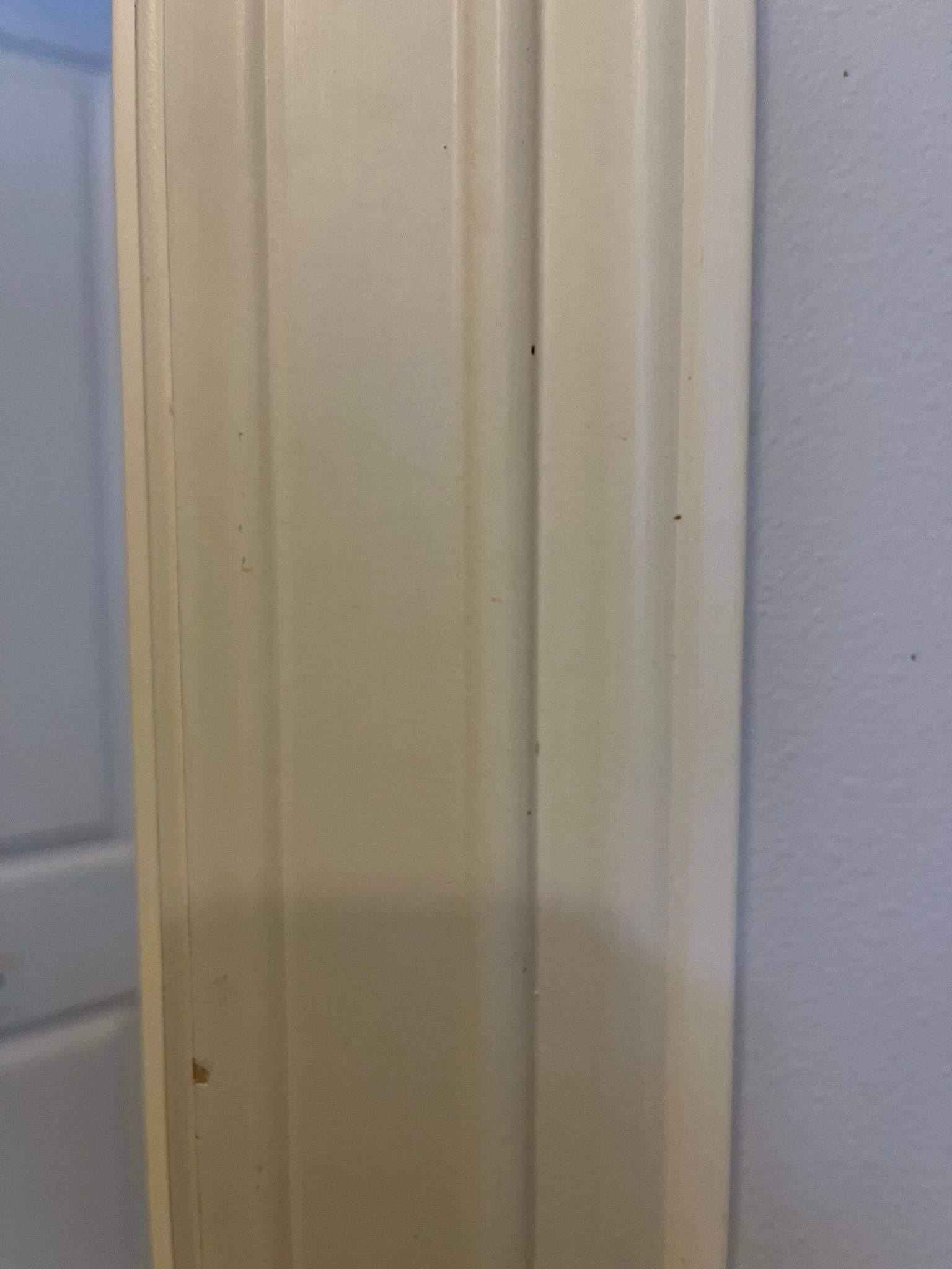  for Tony's Remodeling & Painting in Renton, WA