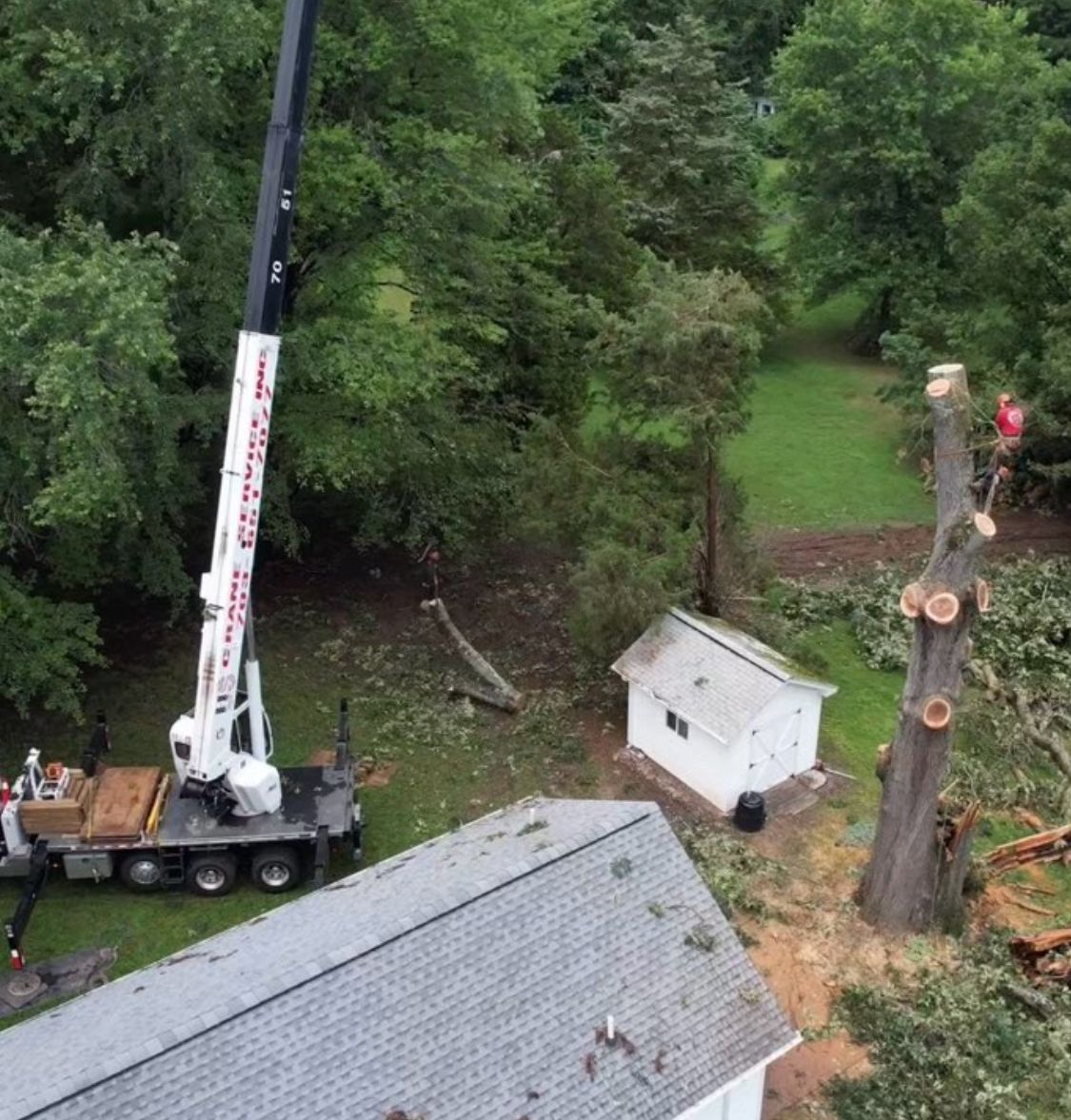  for Branch Out Tree Care LLC in Fredericksburg, VA