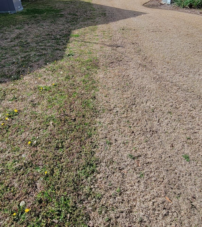  for RightLane Turf Management LLC in Wilson, NC