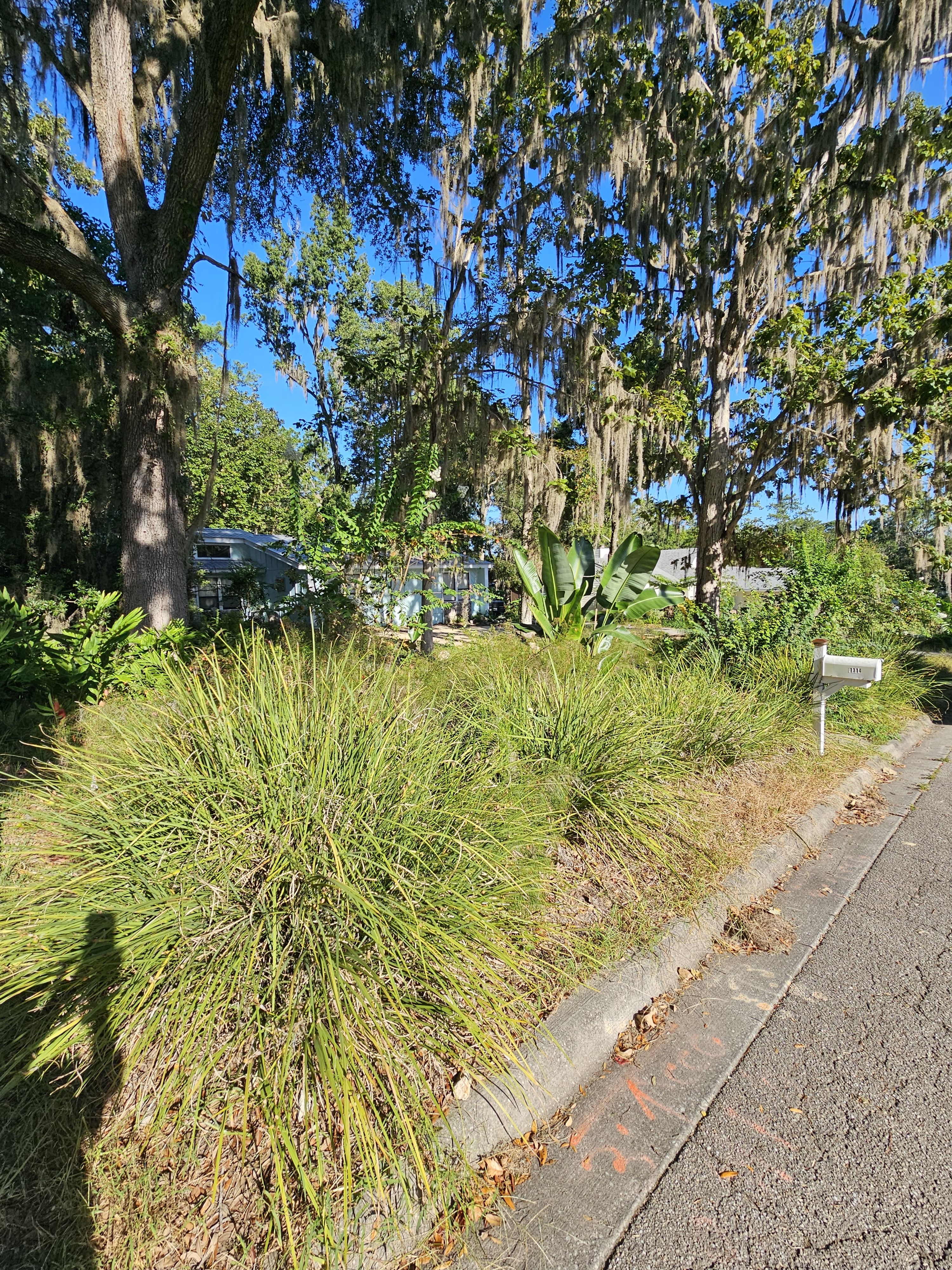  for Deeper Roots Landscape in High Springs, FL
