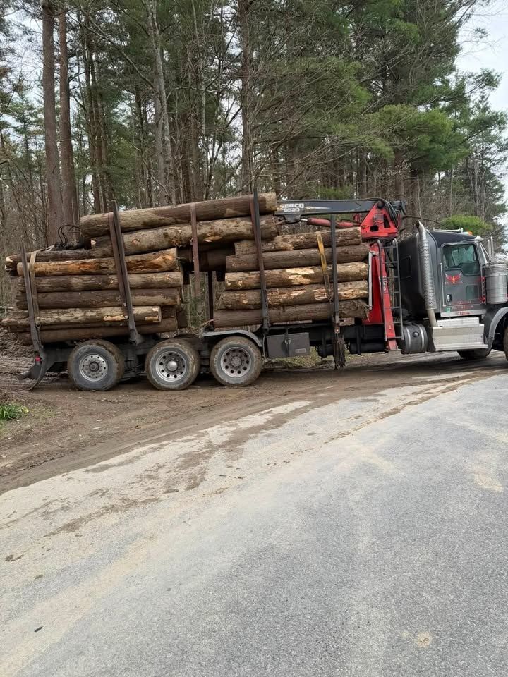  for Brax Forestry in Endicott, NY