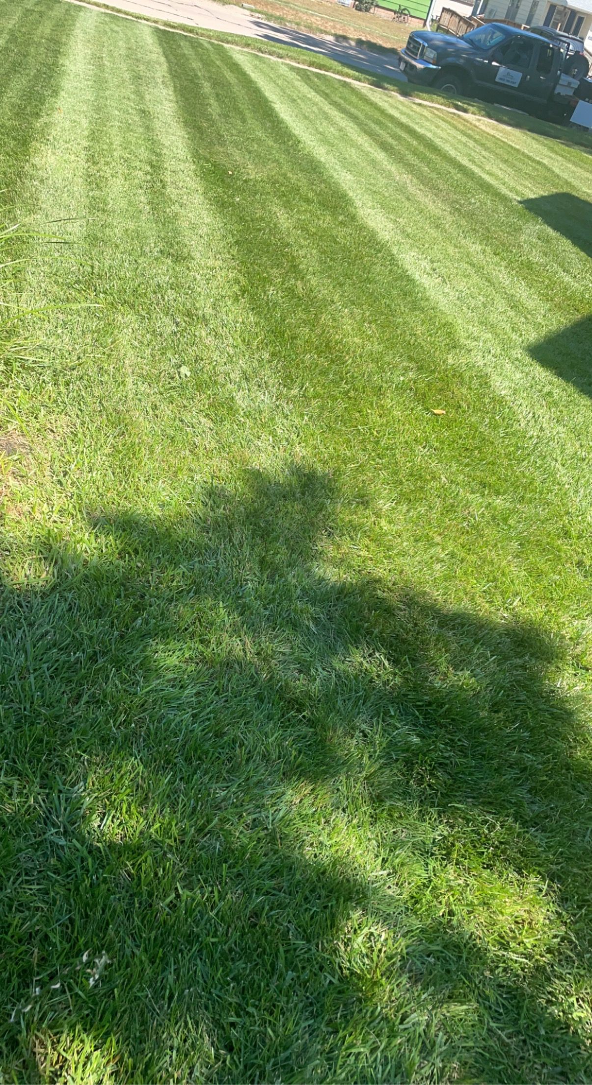  for Jacks Lawn & Landscape LLC  in Hastings, NE