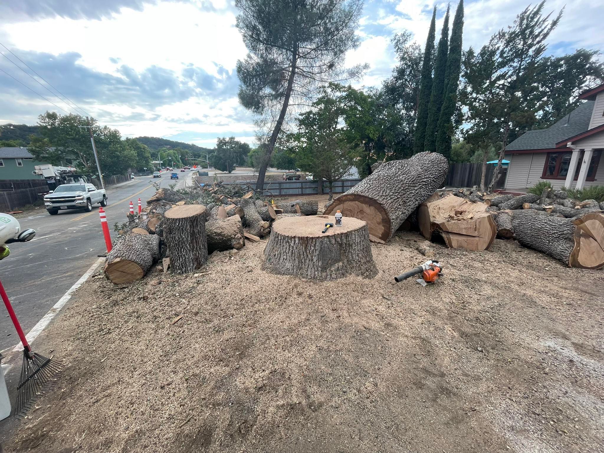 for A1 Junk & Tree Solutions, LLC in Paso Robles, CA
