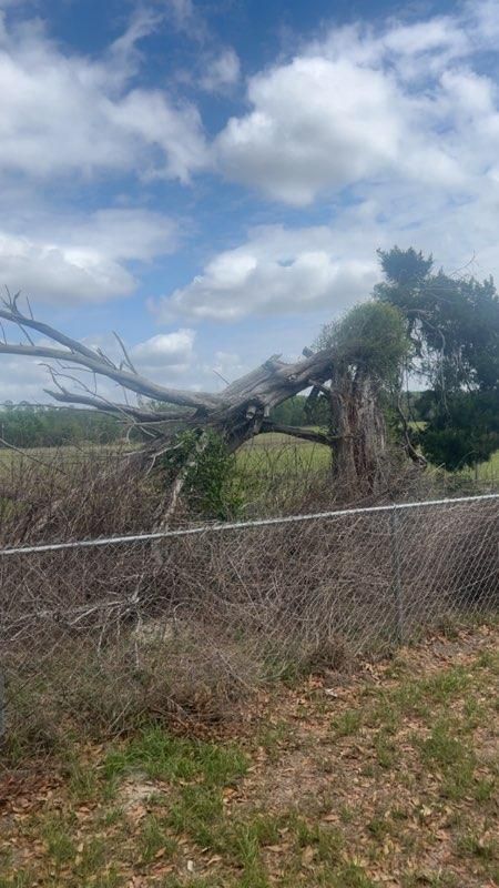  for All Seasons Tree and Land Works in Trenton, FL