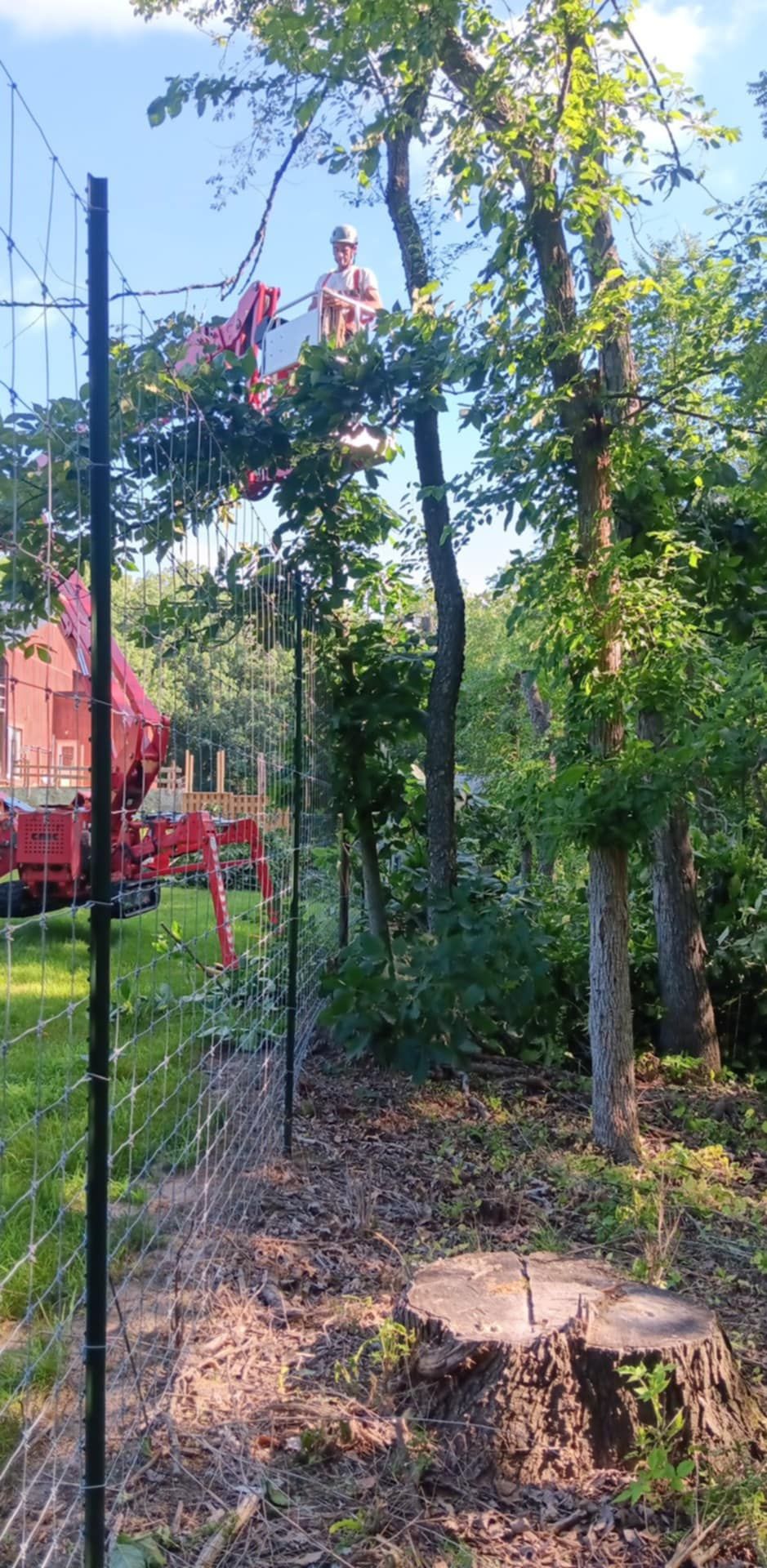  for Lawn Ranger Yard And Tree Service LLC in Ottumwa, IA