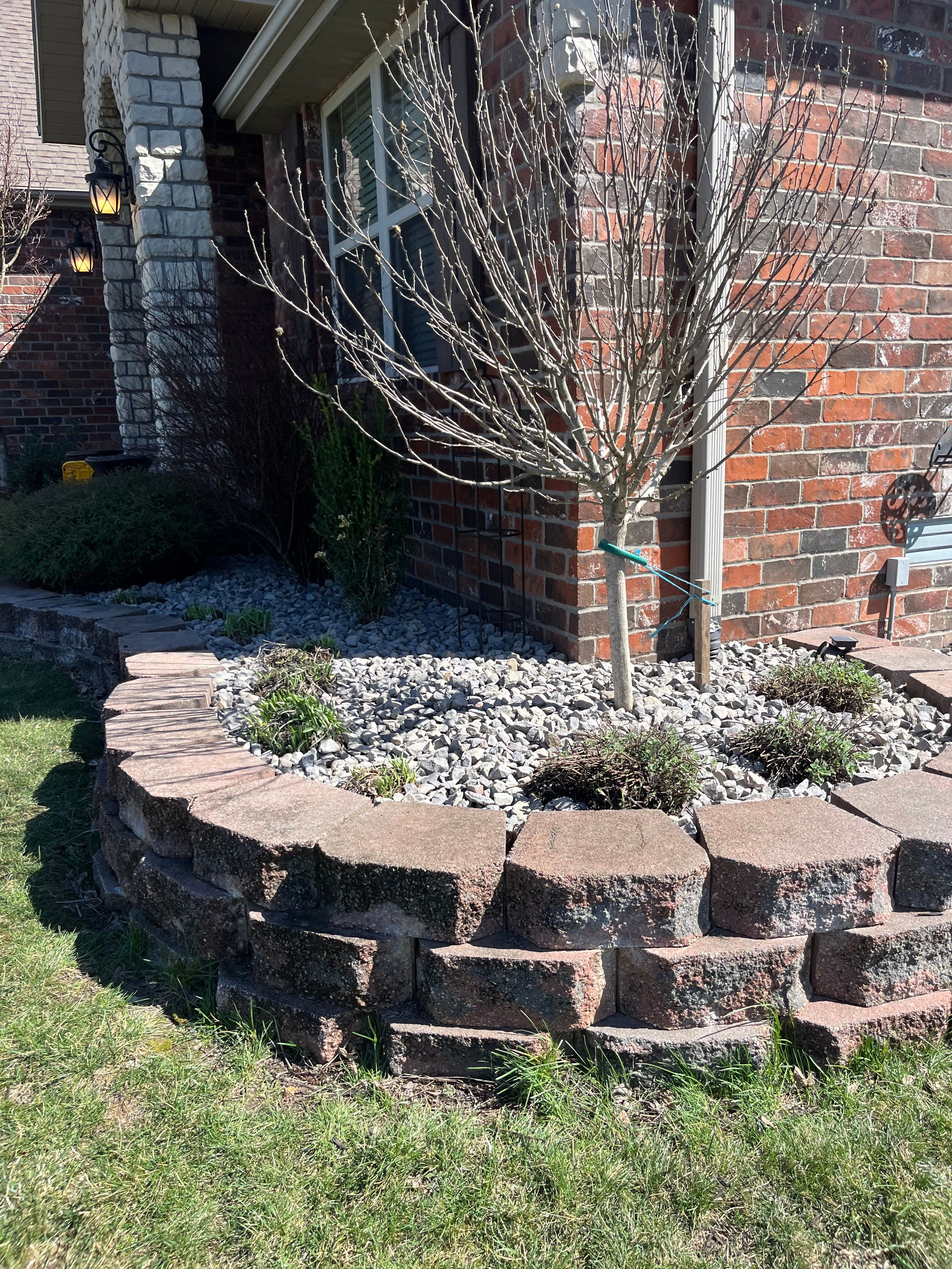  for Finest Lawn N Landscape in Springfield, IL