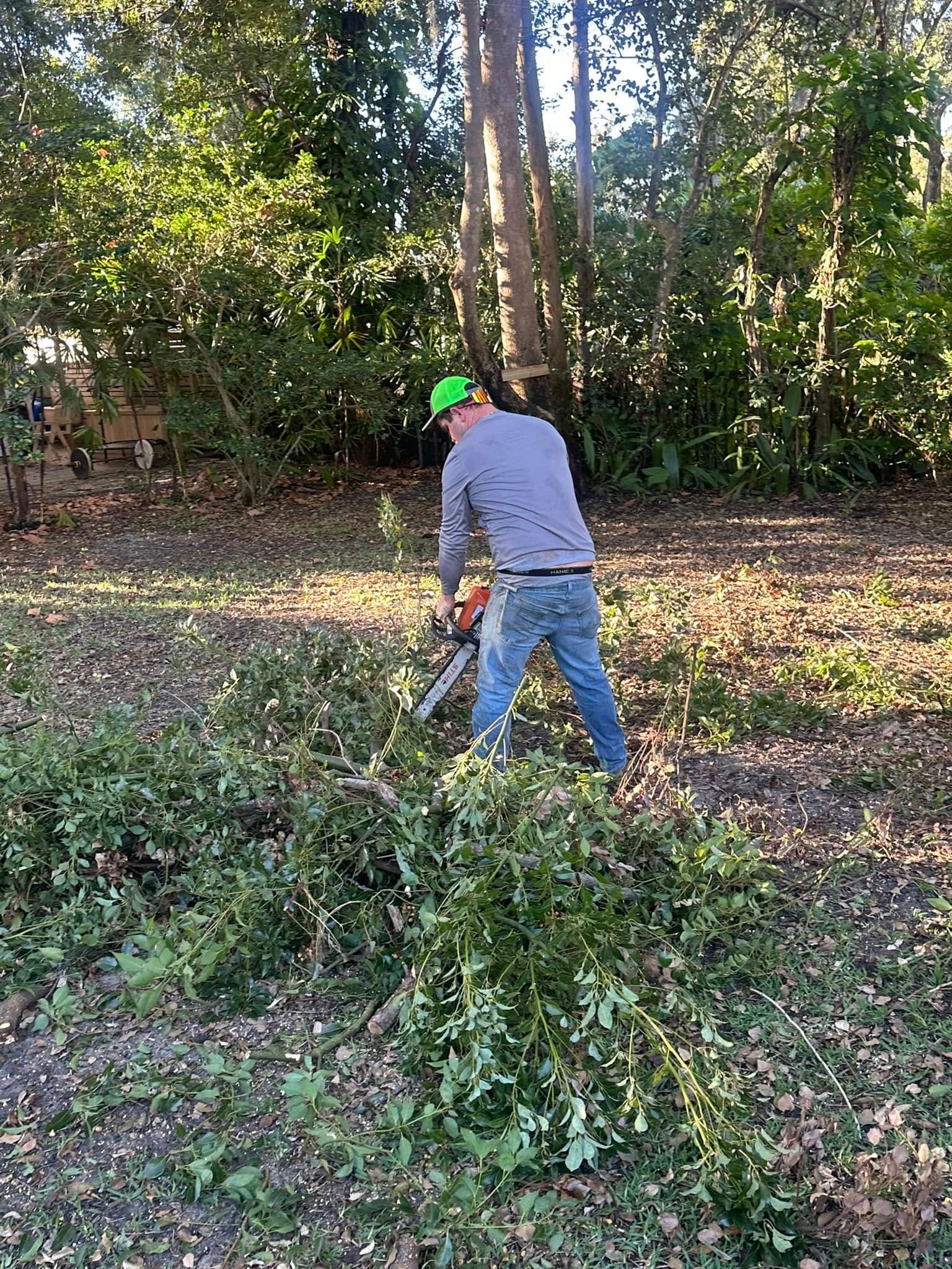  for Narrow Path Tree Service in Deland, FL