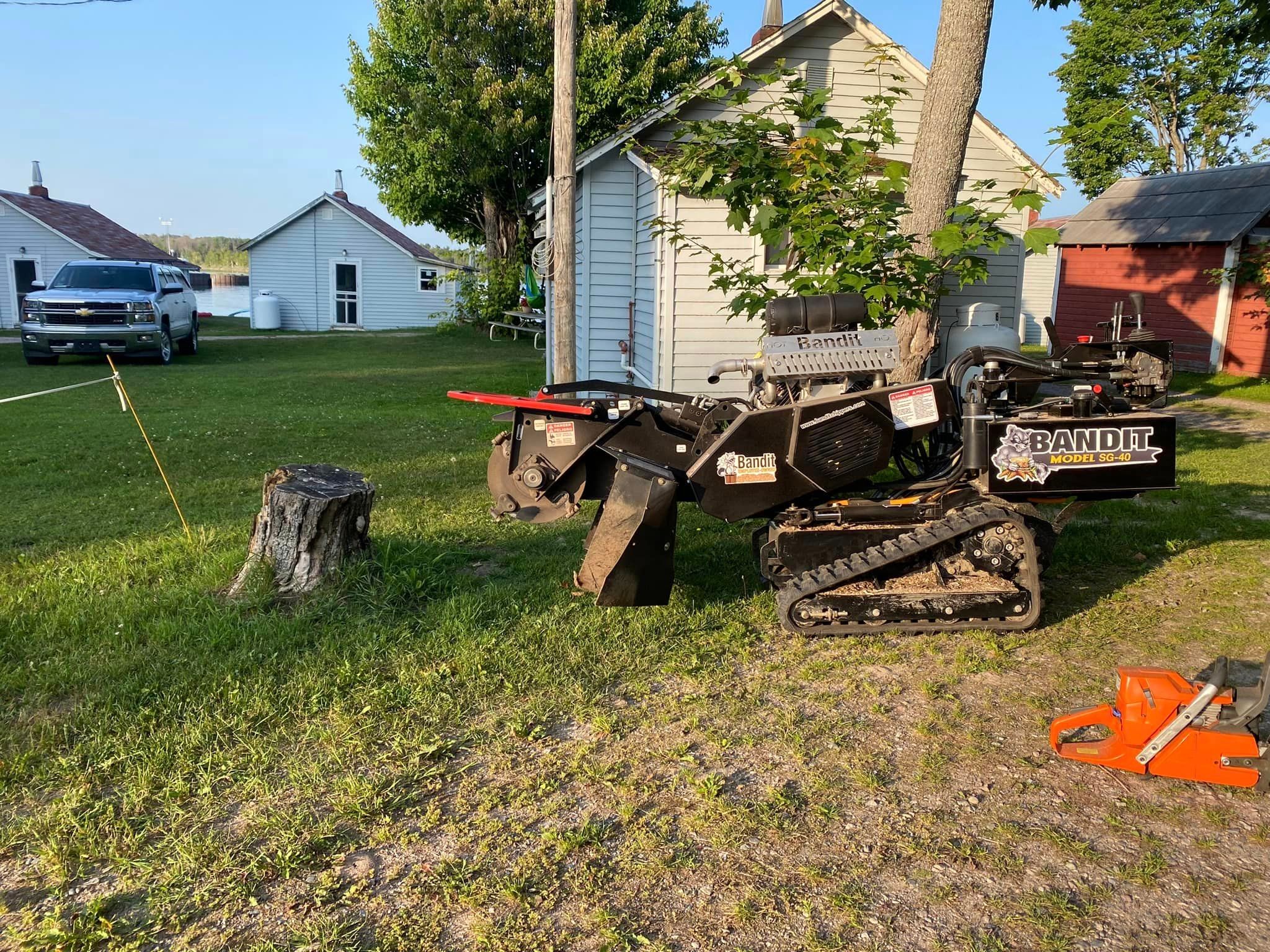 Stump Grinding for Bear Creek Tree Service LLC in Rudyard, MI