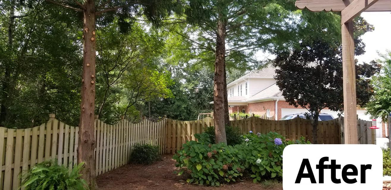  for DNA Tree Service in Birmingham, AL