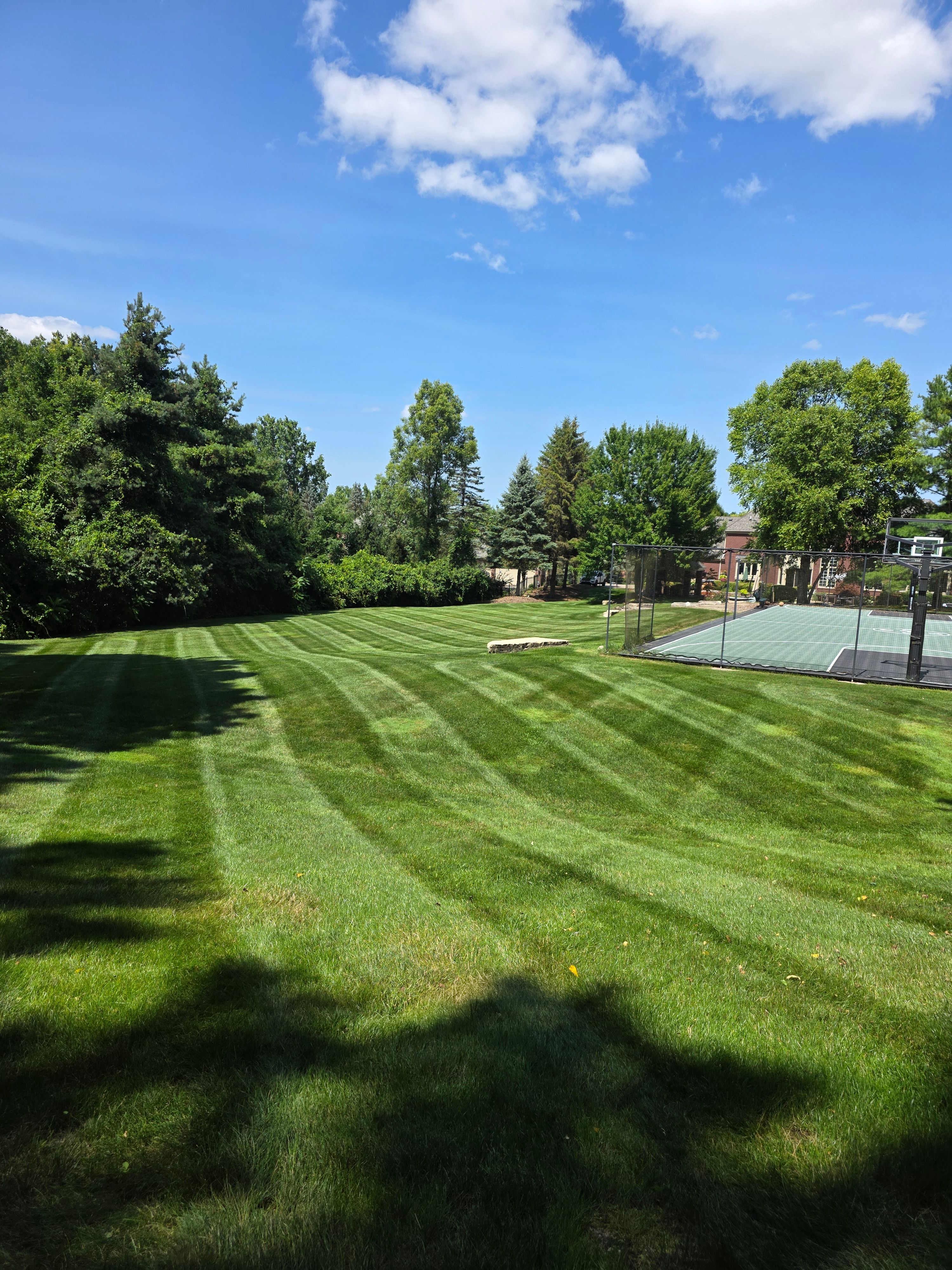  for Ivy Lawn and Landscaping in Oxford, MI