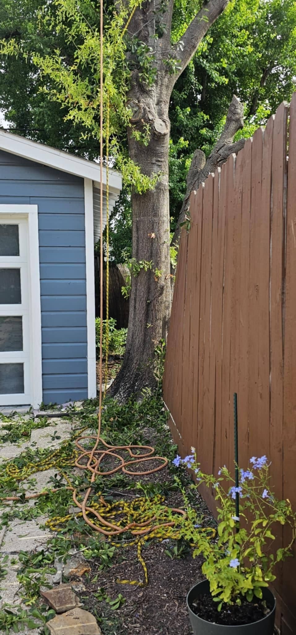  for Servin's Tree Care  in Houston, TX