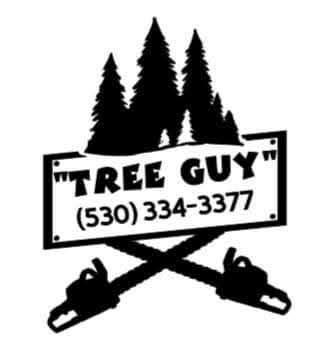  for George Staddan's Professional Tree Care in Placerville, CA