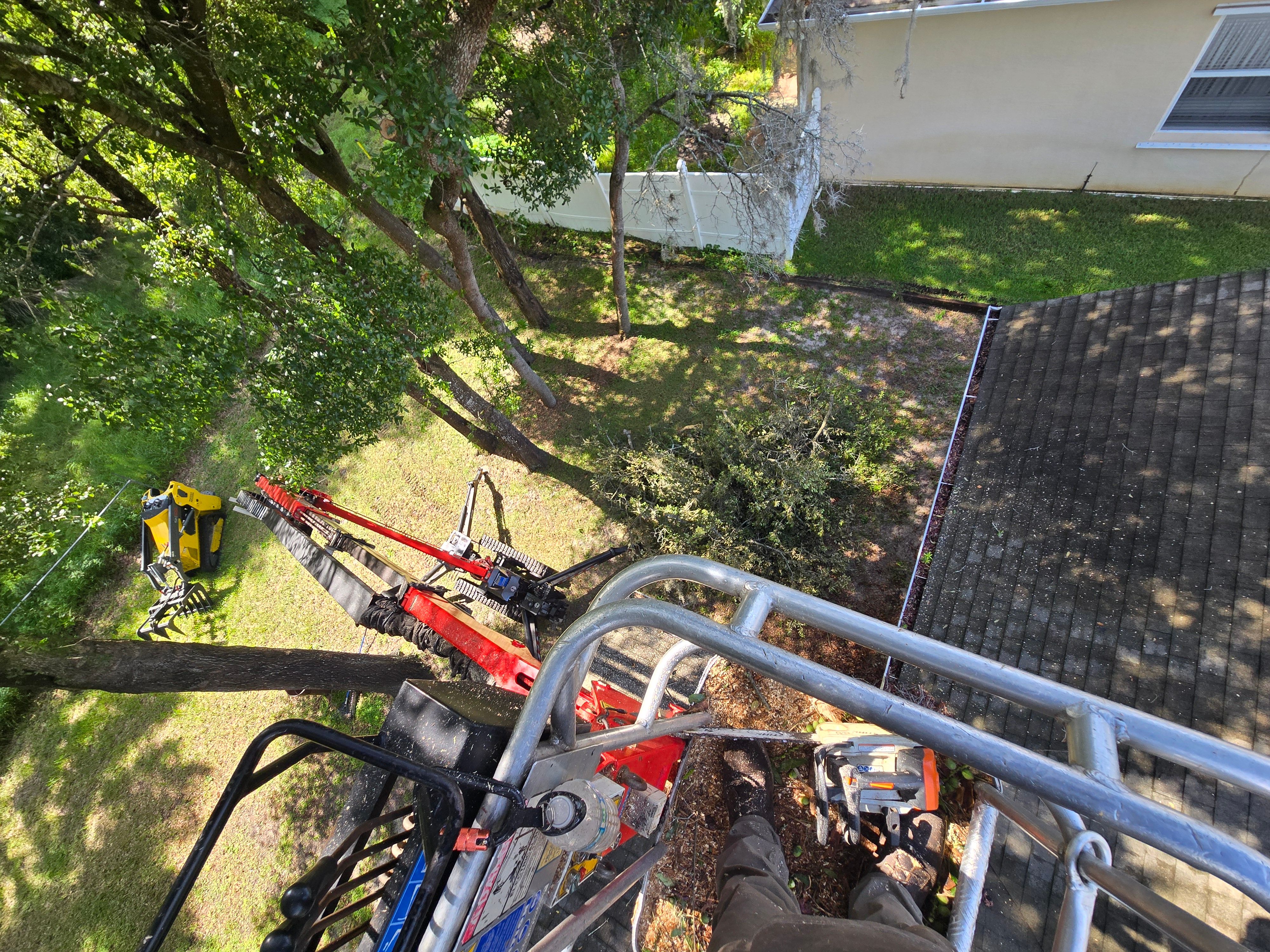 All Photos for Near Me Tree Service, Inc. in DeLand, FL