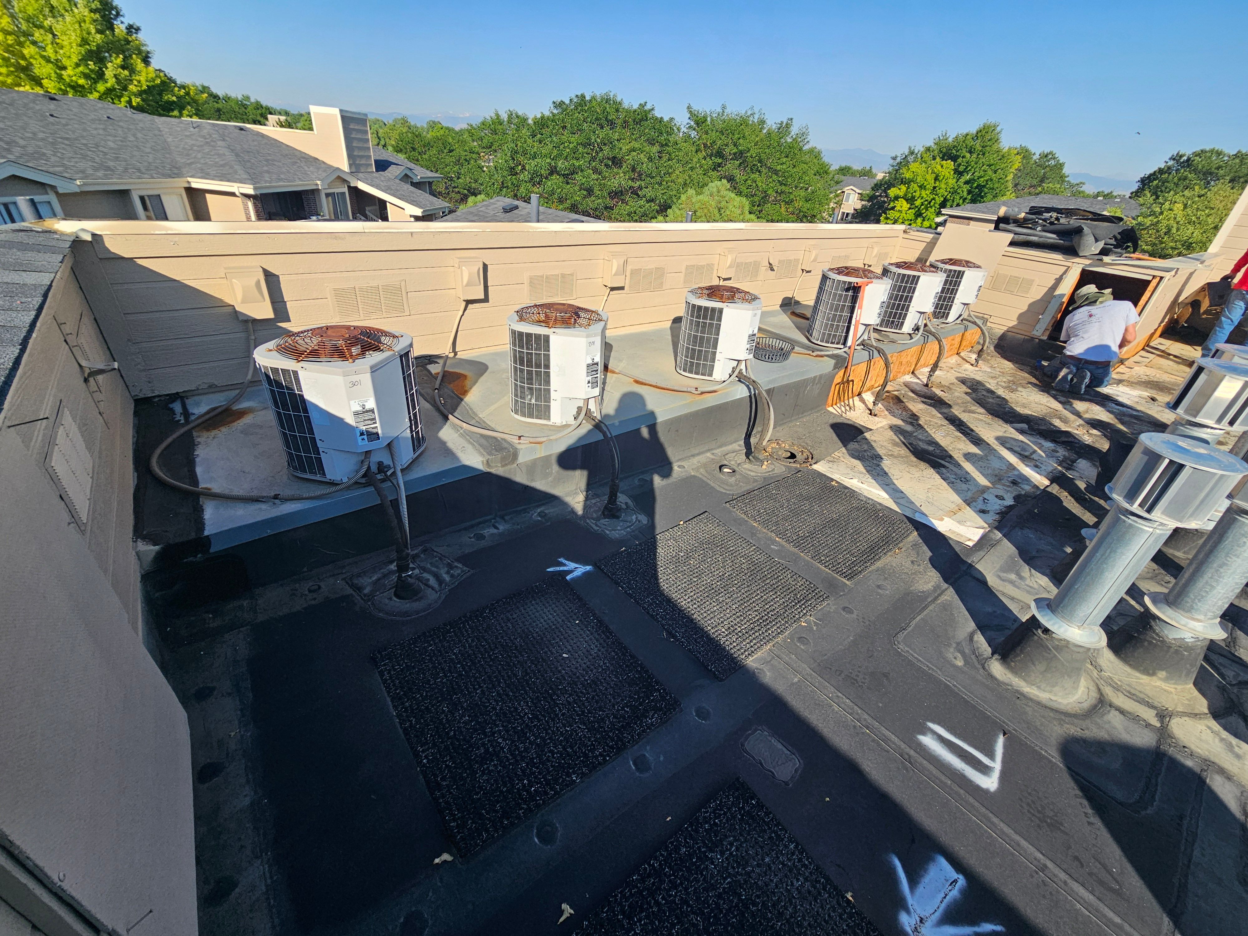 All Photos for Distinctive Home Renovations in Longmont, CO