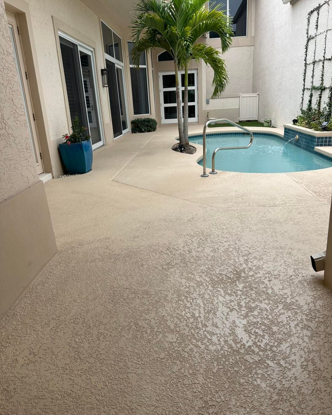 All Photos for Absolute Grey's LLC in Kissimmee, FL