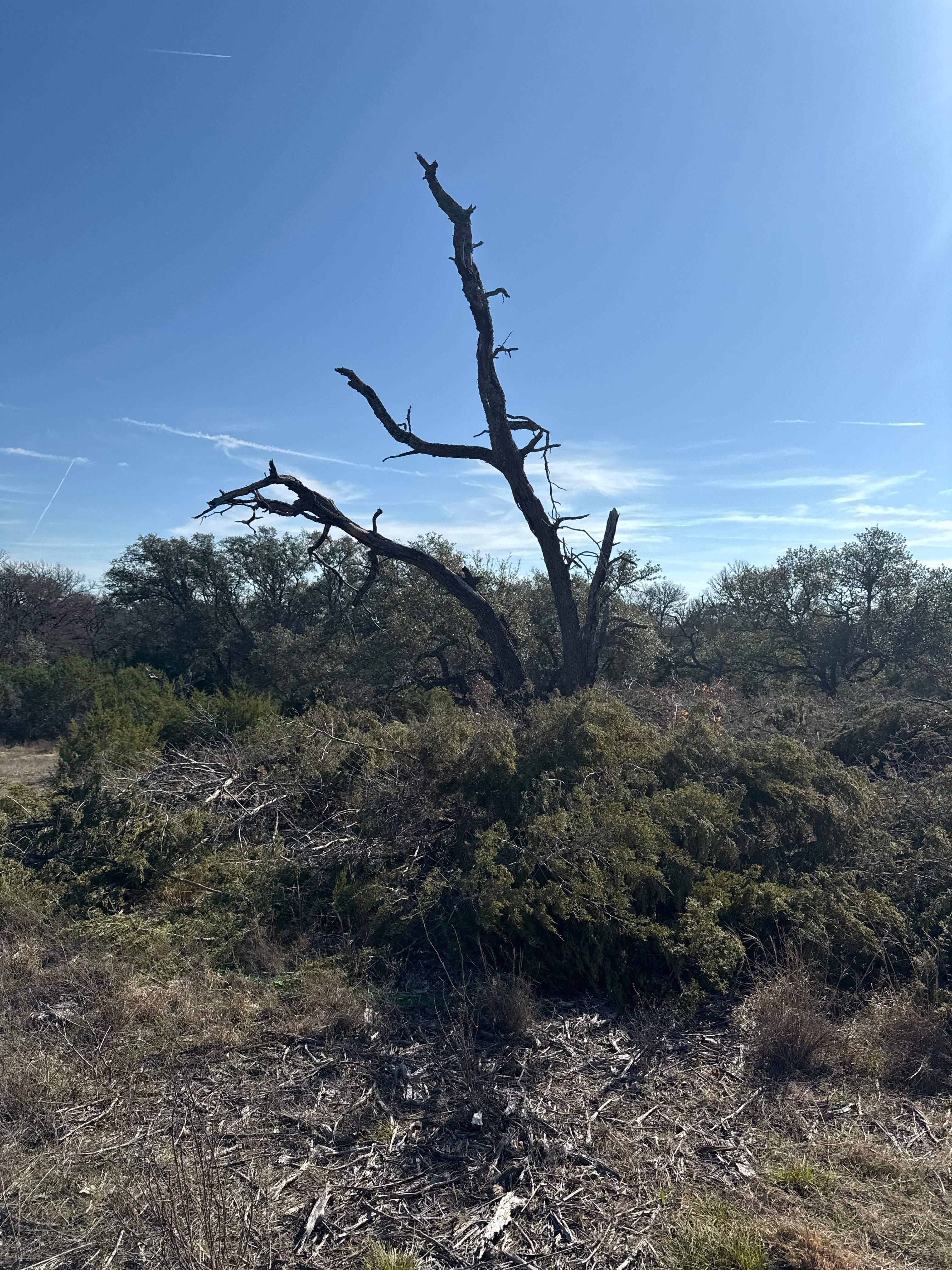 All Photos for Oakley’s Stump ‘N Grind in Leander, TX