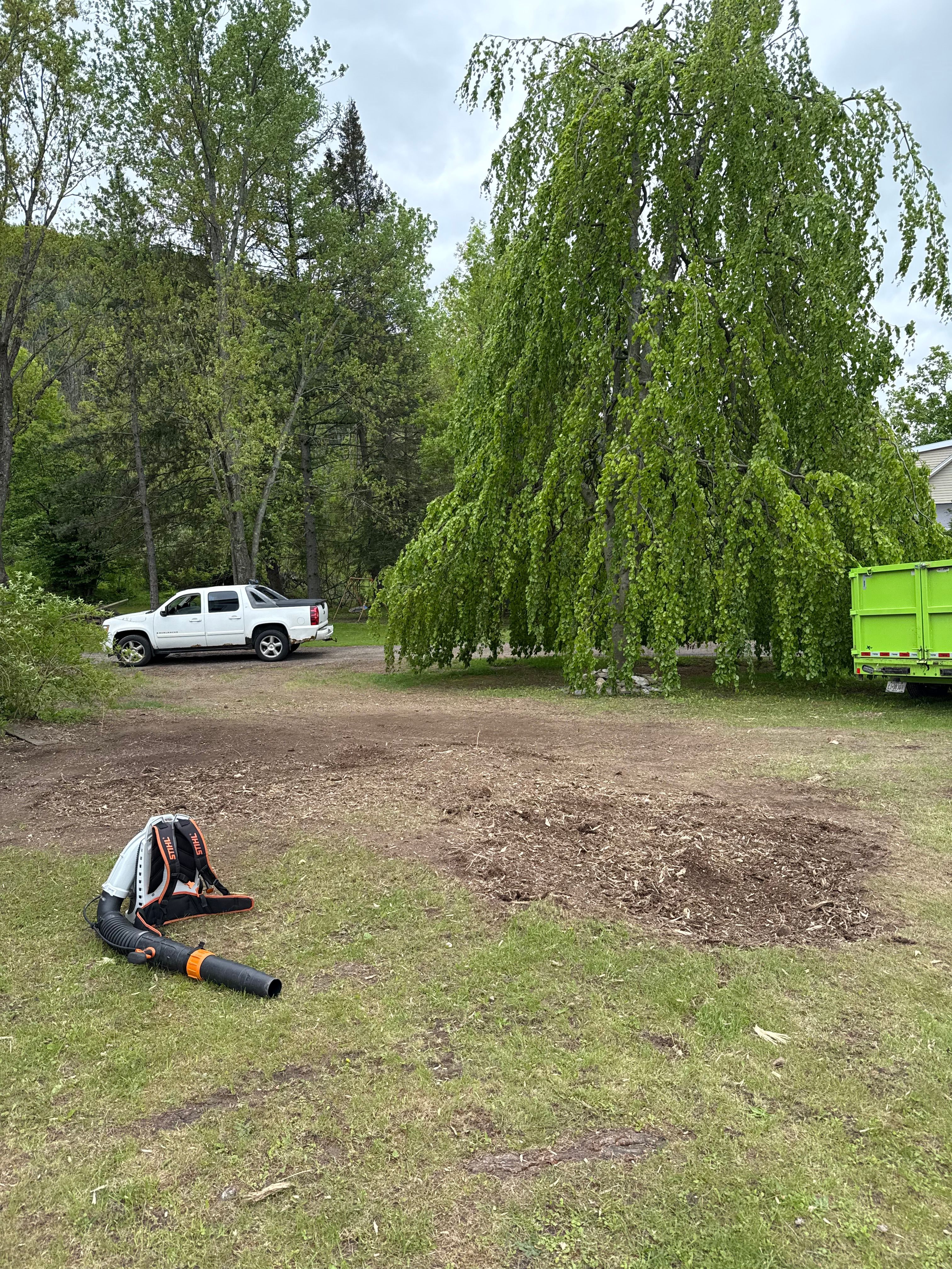 All Photos for Sterlings Tree Removal in Cobleskill, New York