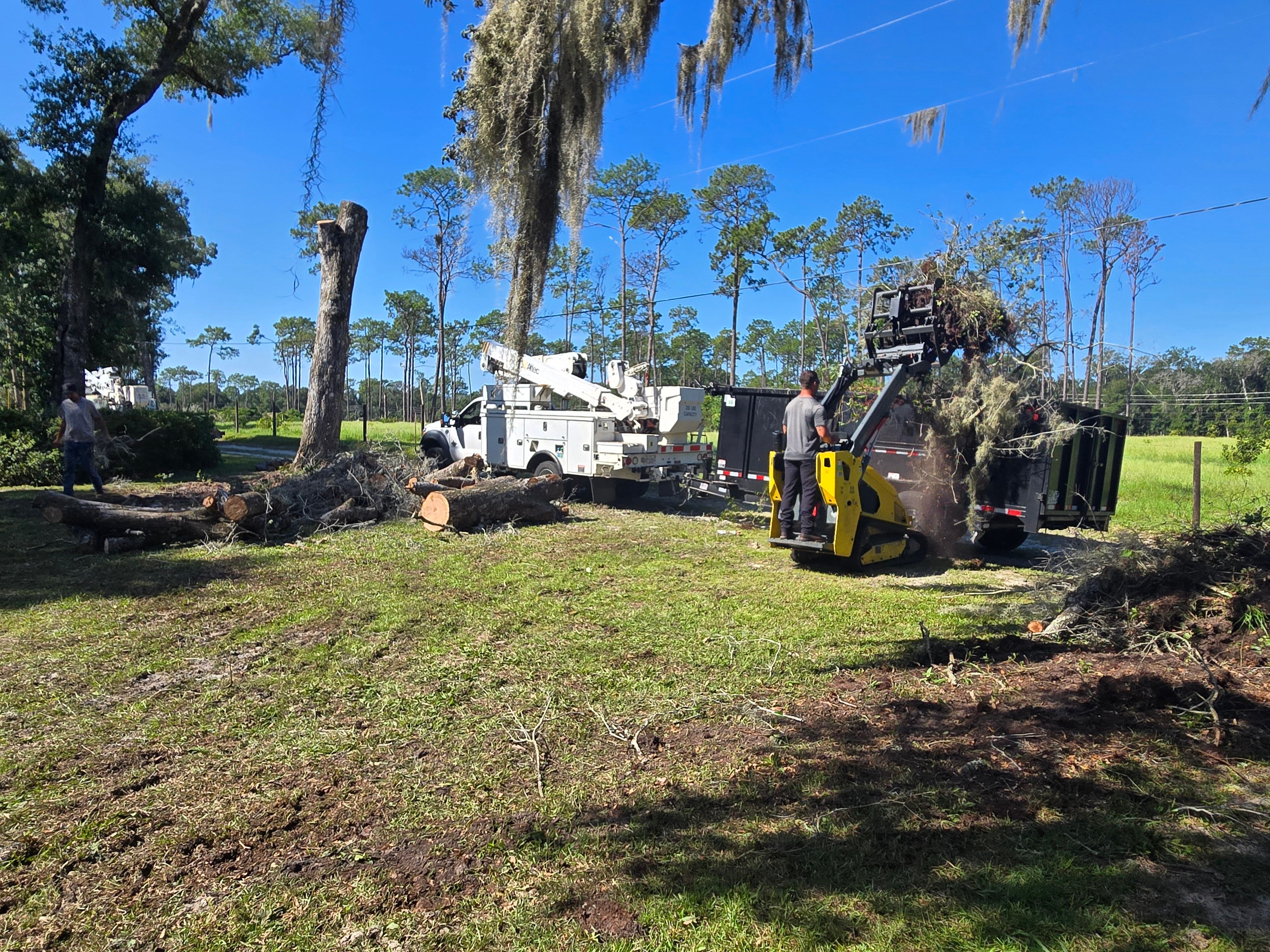 All Photos for Near Me Tree Service, Inc. in DeLand, FL