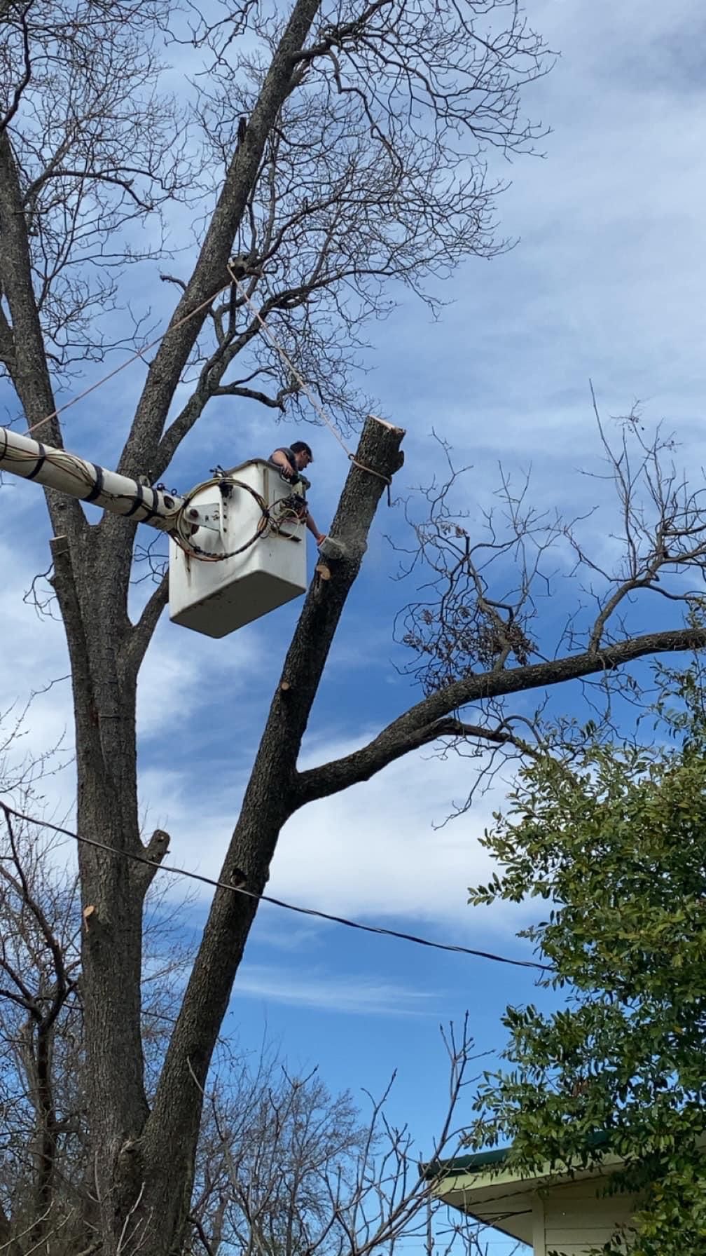  for Jeff’s Tree Service in Southside, AL