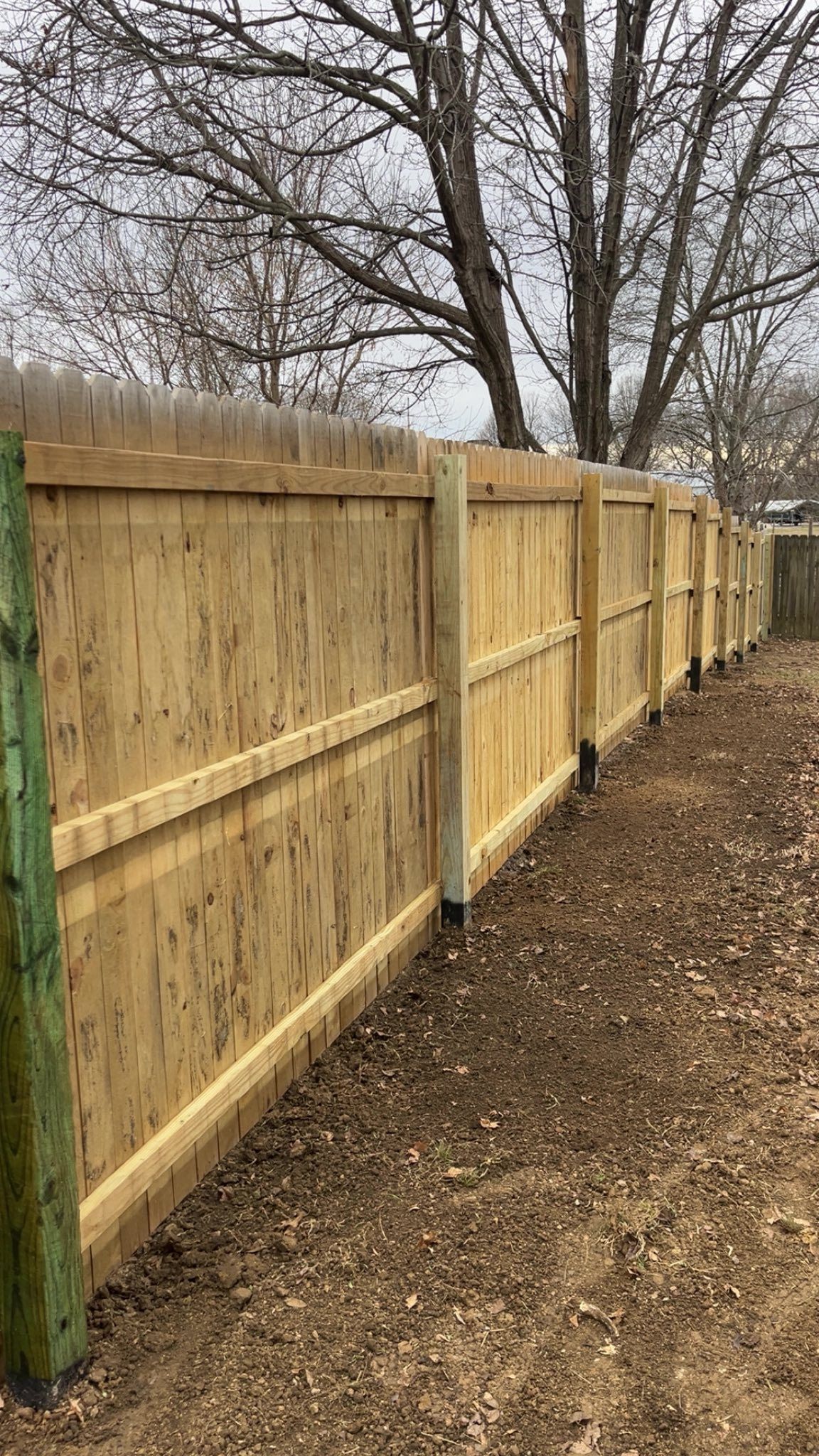  for Finest Lawn N Landscape in Springfield, IL