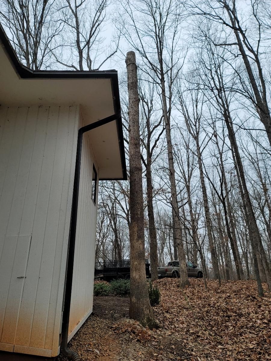  for Integrity Tree and Landscaping in Lynchburg, VA