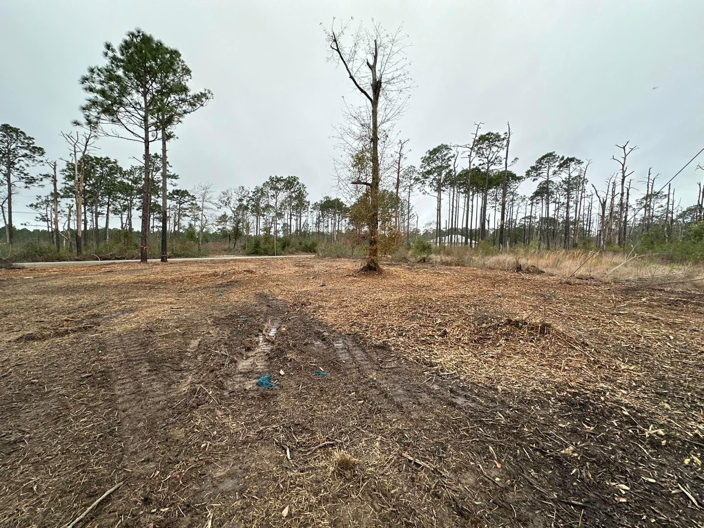 All Photos for White’s Land Maintenance in Milton,, FL