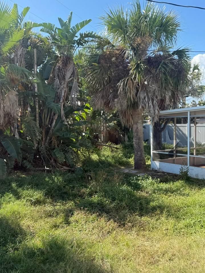  for Grind Time Tree Service in Daytona, FL