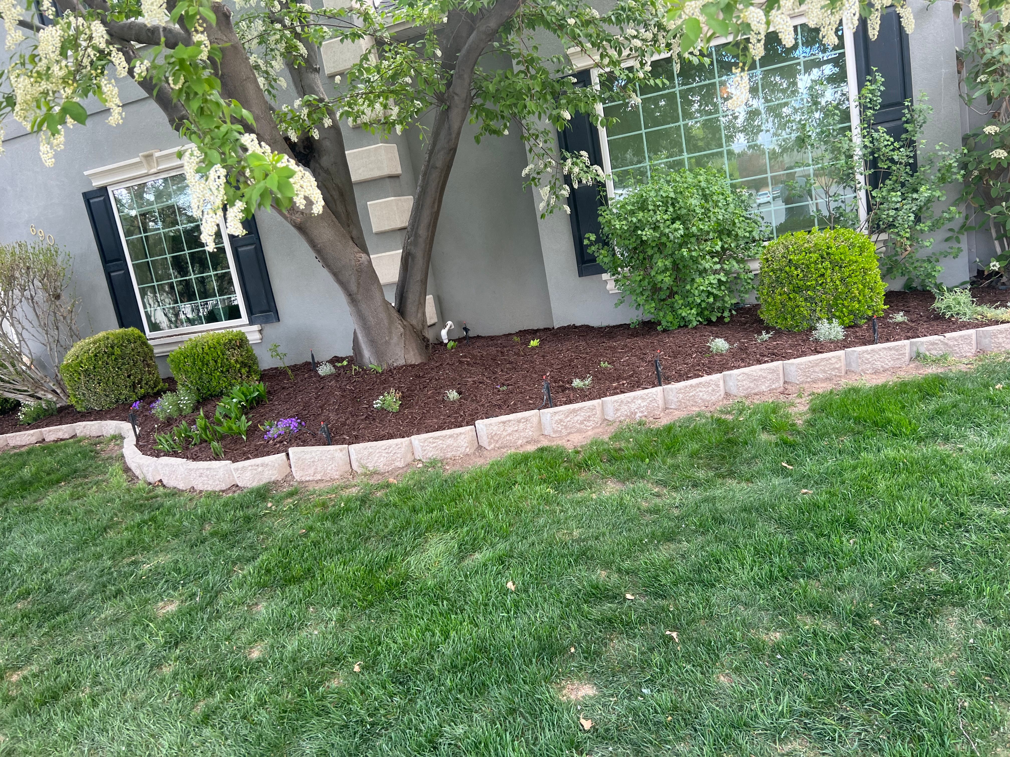  for Platinum Lawn Service in Santaquin, UT