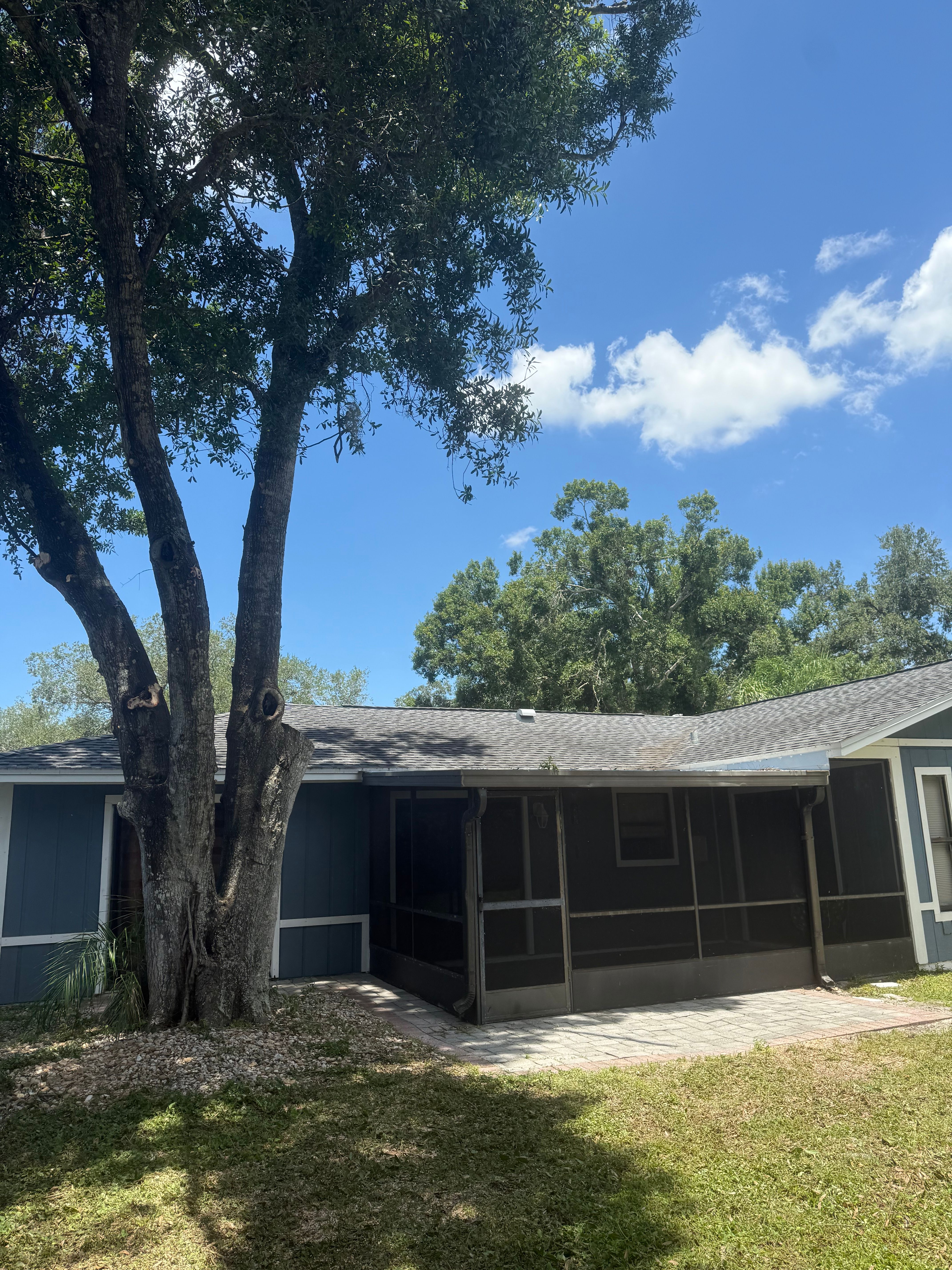  for Damian’s Tree Care in Sarasota, FL