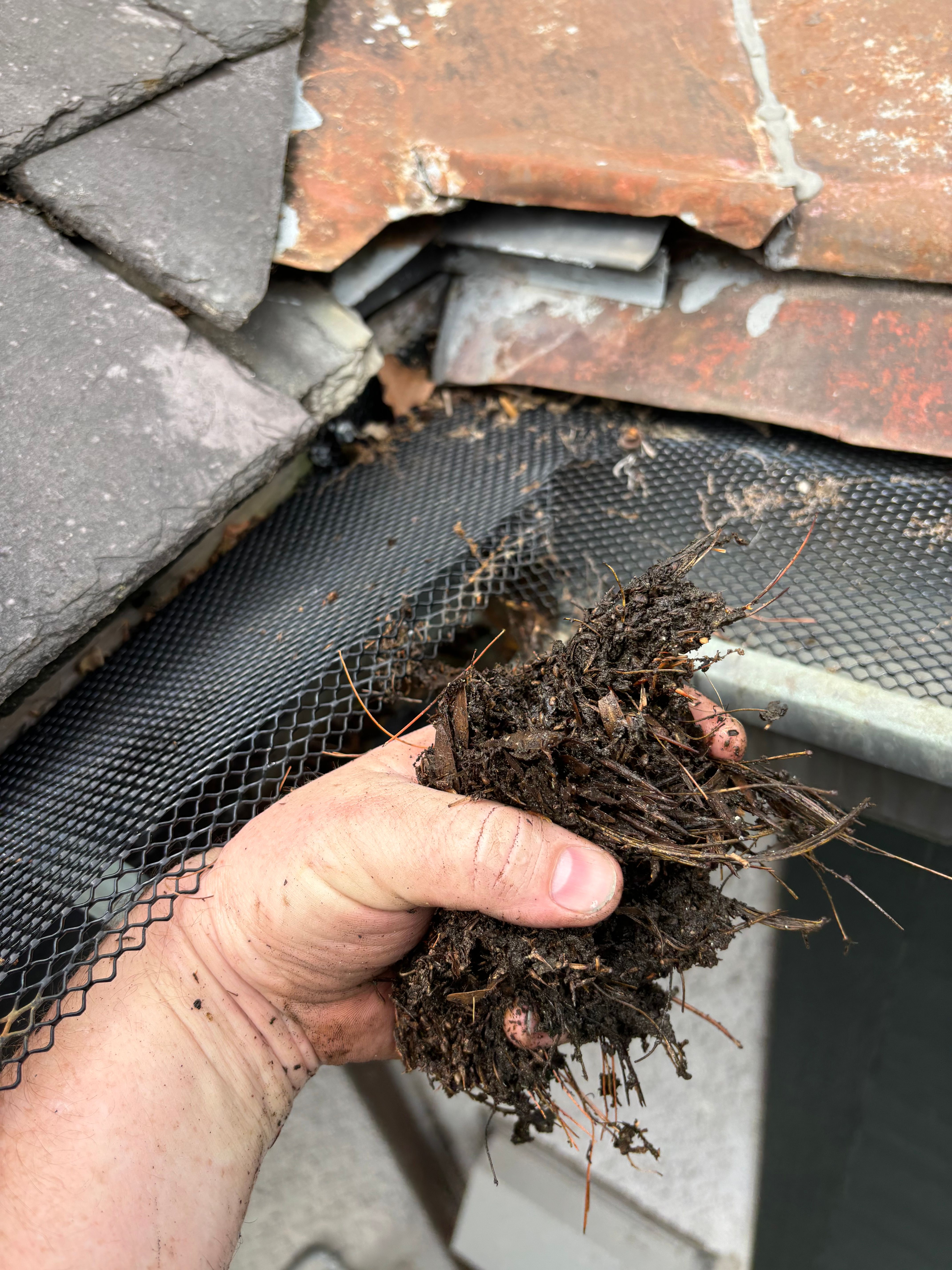  for See2it Clean in St Louis, MO