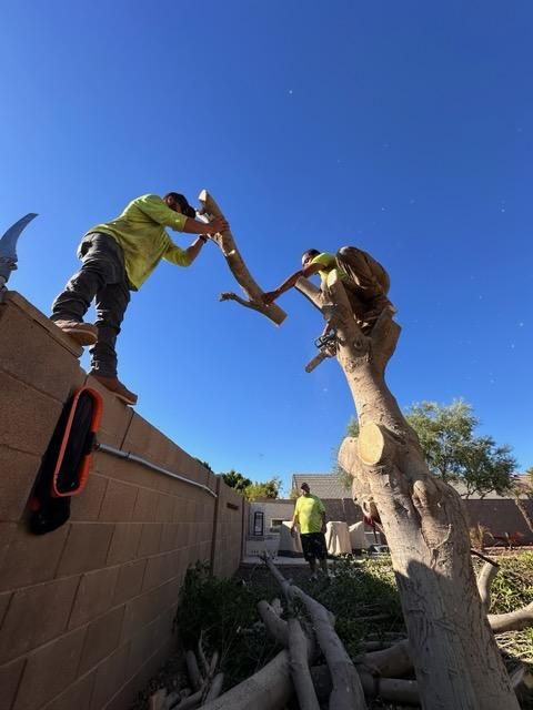  for American Dream Landscape Company in Surprise, AZ
